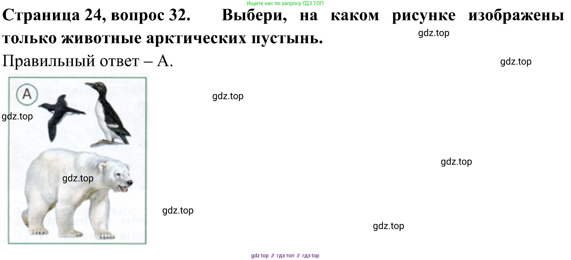Окружающий мир, 4 класс Тесты, авторы: Плешаков Андрей Анатольевич, Новицкая Марина Юрьевна, Назарова З Д, издательство Просвещение, Москва, 2021, белого цвета, страница 24, номер 32, Решение