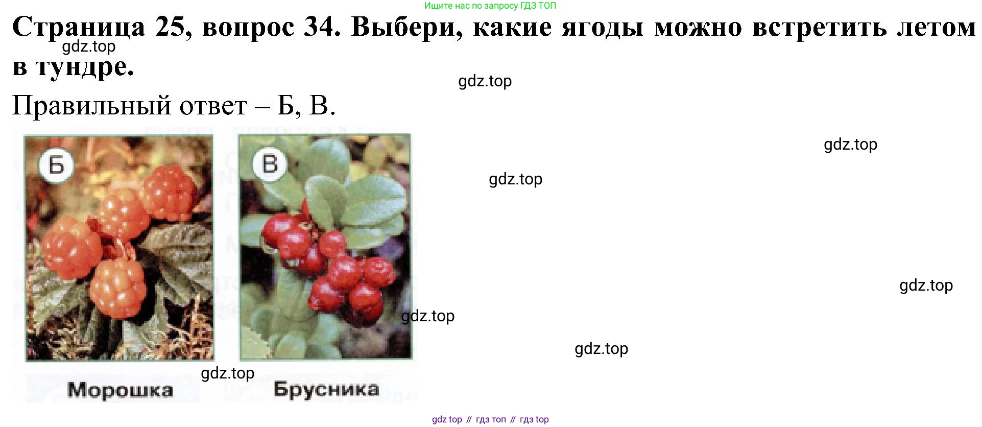 Окружающий мир, 4 класс Тесты, авторы: Плешаков Андрей Анатольевич, Новицкая Марина Юрьевна, Назарова З Д, издательство Просвещение, Москва, 2021, белого цвета, страница 25, номер 34, Решение