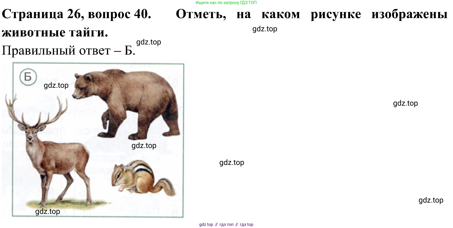 Окружающий мир, 4 класс Тесты, авторы: Плешаков Андрей Анатольевич, Новицкая Марина Юрьевна, Назарова З Д, издательство Просвещение, Москва, 2021, белого цвета, страница 26, номер 40, Решение