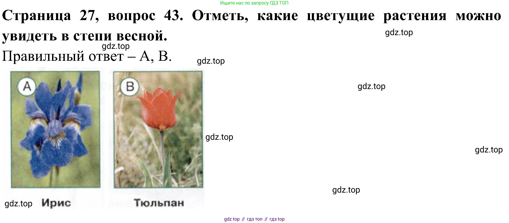 Окружающий мир, 4 класс Тесты, авторы: Плешаков Андрей Анатольевич, Новицкая Марина Юрьевна, Назарова З Д, издательство Просвещение, Москва, 2021, белого цвета, страница 27, номер 43, Решение