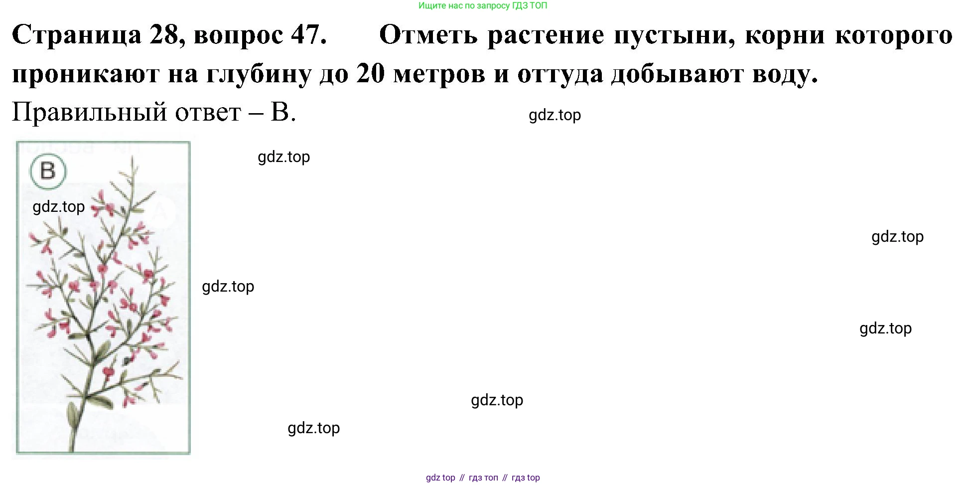 Окружающий мир, 4 класс Тесты, авторы: Плешаков Андрей Анатольевич, Новицкая Марина Юрьевна, Назарова З Д, издательство Просвещение, Москва, 2021, белого цвета, страница 28, номер 47, Решение