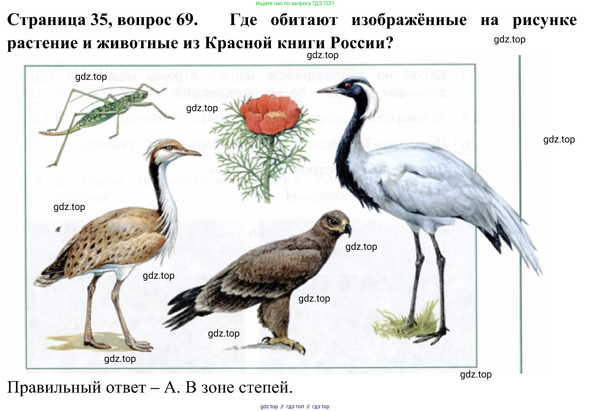 Окружающий мир, 4 класс Тесты, авторы: Плешаков Андрей Анатольевич, Новицкая Марина Юрьевна, Назарова З Д, издательство Просвещение, Москва, 2021, белого цвета, страница 35, номер 69, Решение