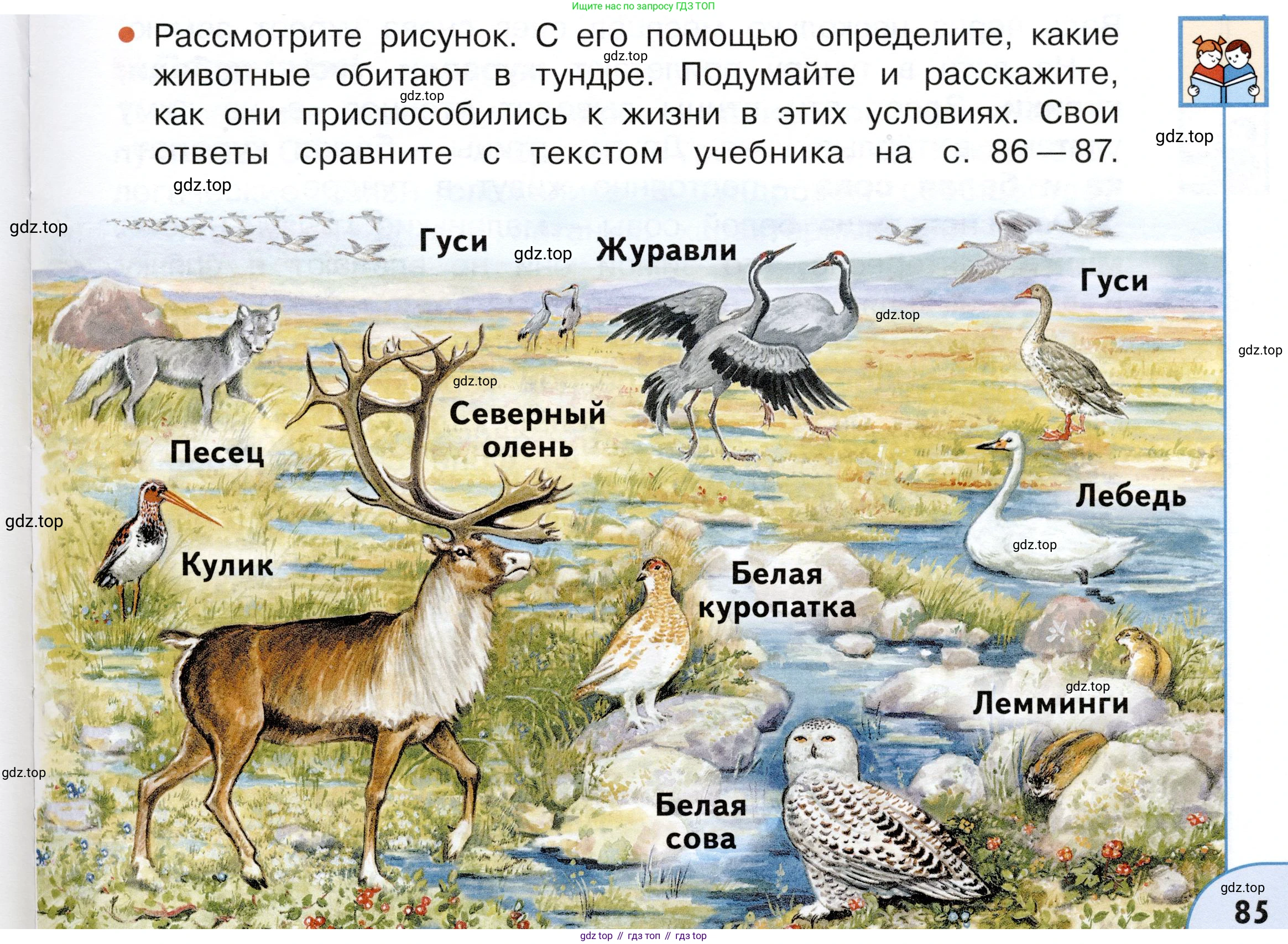 ГДЗ Окружающий мир, 4 класс Учебник, авторы: Плешаков Андрей Анатольевич, Новицкая Марина Юрьевна, издательство Просвещение, Москва, 2019, белого цвета, Часть 1, страница 85, номер 2, Условие