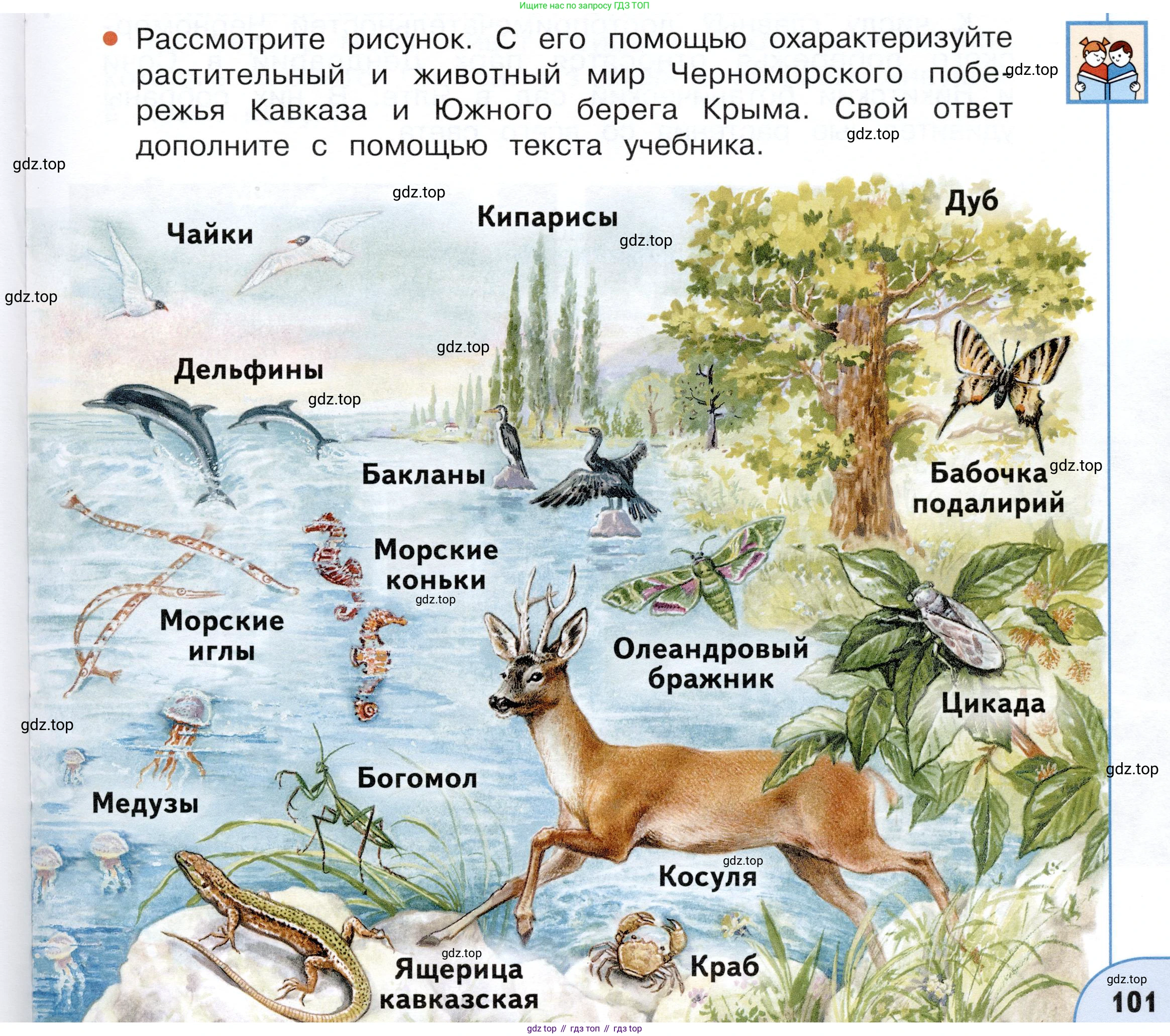 ГДЗ Окружающий мир, 4 класс Учебник, авторы: Плешаков Андрей Анатольевич, Новицкая Марина Юрьевна, издательство Просвещение, Москва, 2019, белого цвета, Часть 1, страница 101, номер 2, Условие