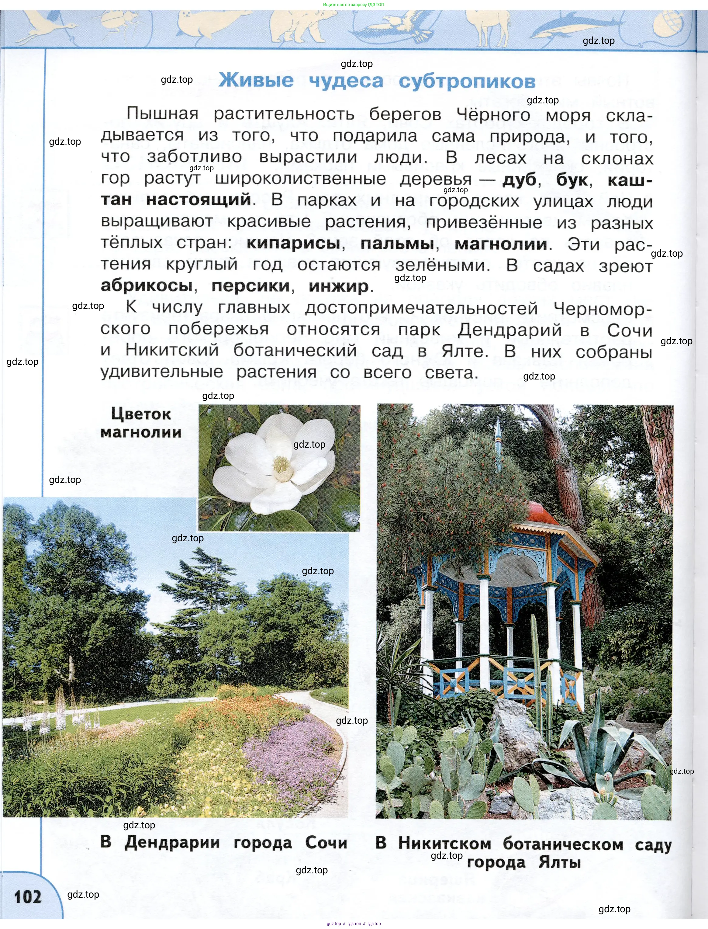 Окружающий мир, 4 класс Учебник, авторы: Плешаков Андрей Анатольевич, Новицкая Марина Юрьевна, издательство Просвещение, Москва, 2019, белого цвета, страница 102