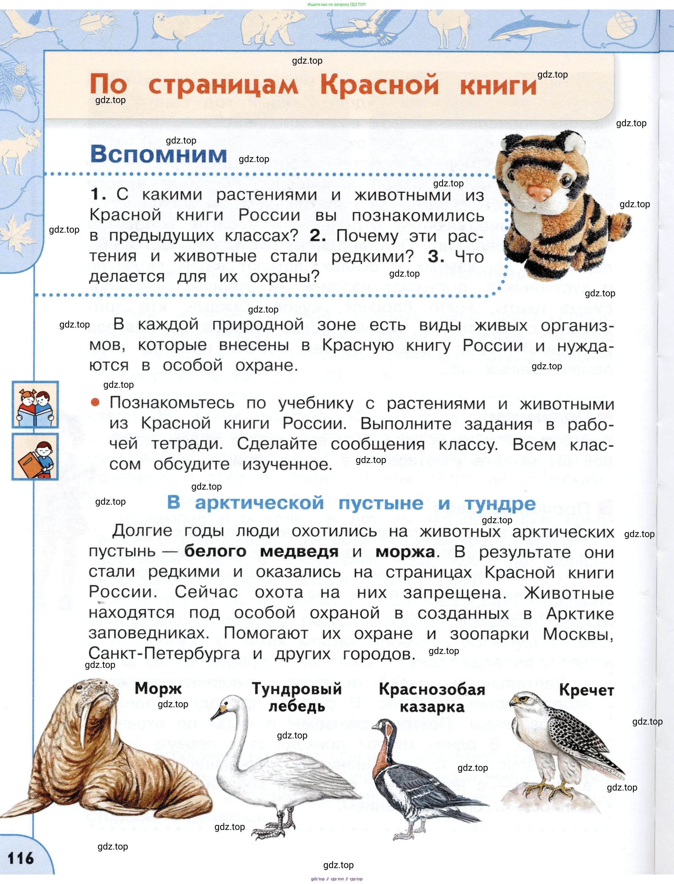 Окружающий мир, 4 класс Учебник, авторы: Плешаков Андрей Анатольевич, Новицкая Марина Юрьевна, издательство Просвещение, Москва, 2019, белого цвета, Часть 1, страница 116
