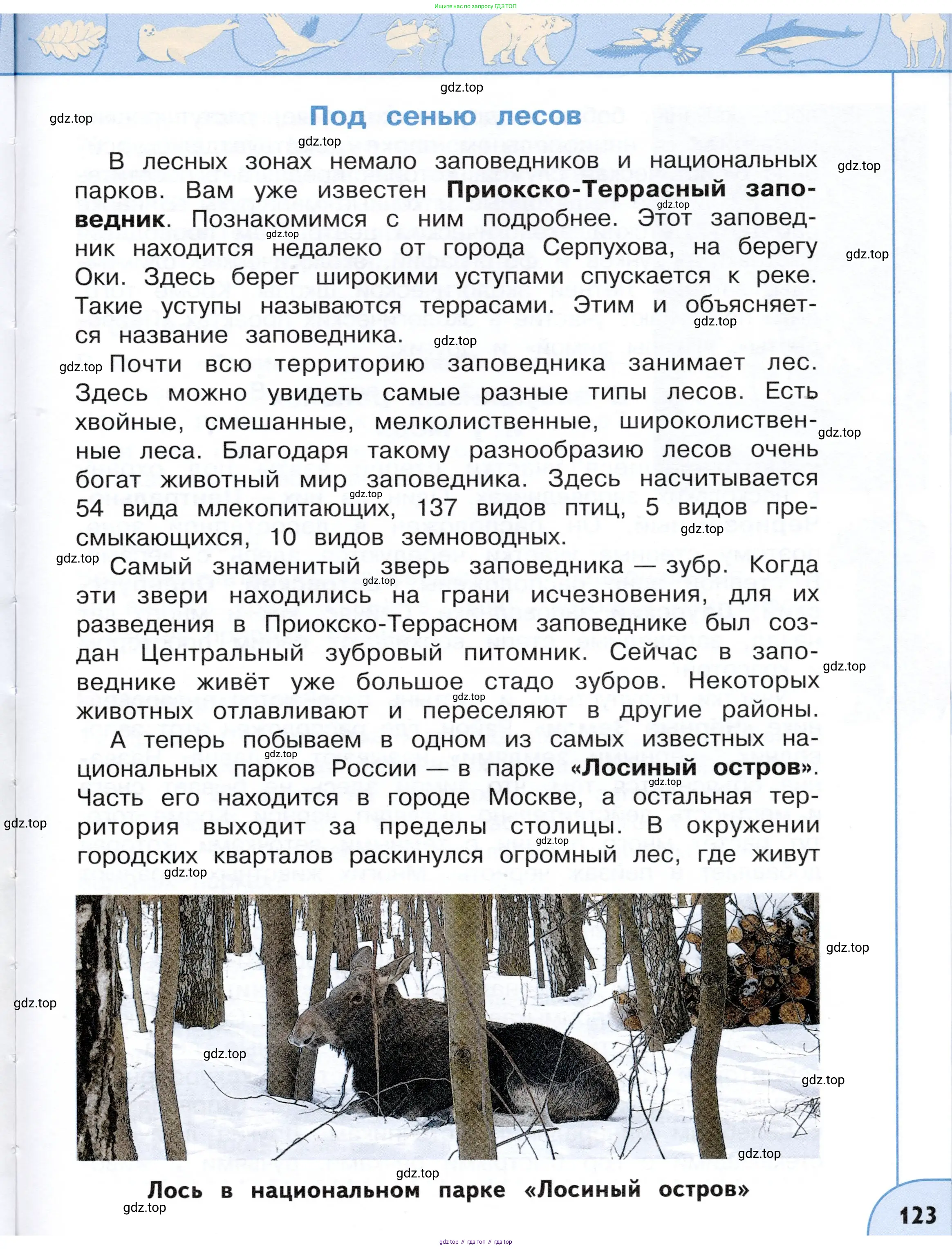 Окружающий мир, 4 класс Учебник, авторы: Плешаков Андрей Анатольевич, Новицкая Марина Юрьевна, издательство Просвещение, Москва, 2019, белого цвета, Часть 2, страница 123