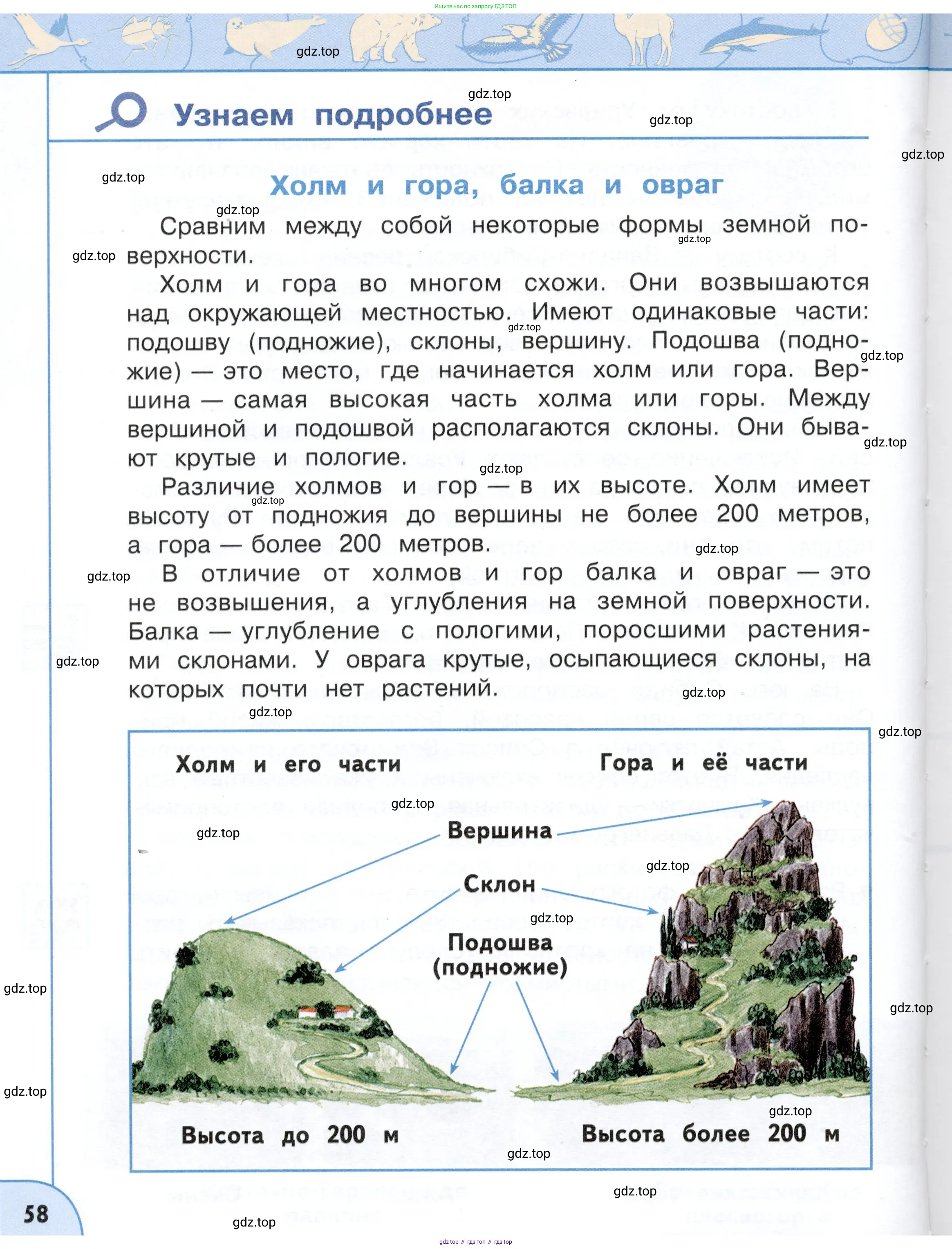 Окружающий мир, 4 класс Учебник, авторы: Плешаков Андрей Анатольевич, Новицкая Марина Юрьевна, издательство Просвещение, Москва, 2019, белого цвета, страница 58