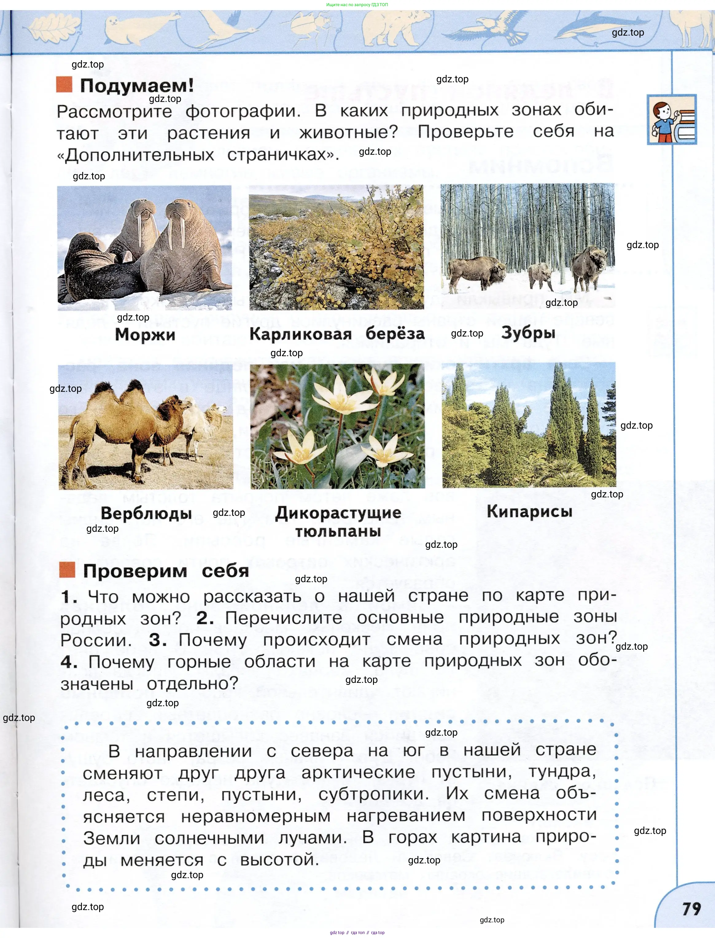 Окружающий мир, 4 класс Учебник, авторы: Плешаков Андрей Анатольевич, Новицкая Марина Юрьевна, издательство Просвещение, Москва, 2019, белого цвета, Часть 1, страница 79