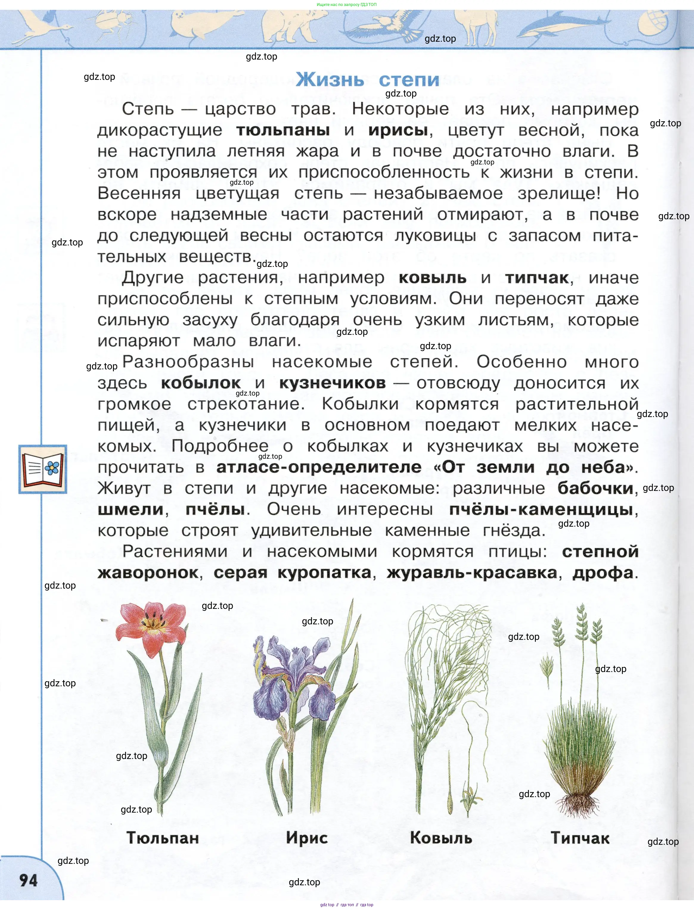 Окружающий мир, 4 класс Учебник, авторы: Плешаков Андрей Анатольевич, Новицкая Марина Юрьевна, издательство Просвещение, Москва, 2019, белого цвета, Часть 2, страница 94