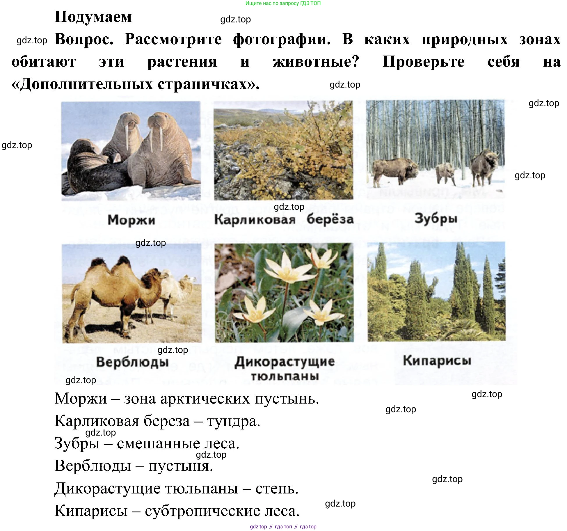 ГДЗ Окружающий мир, 4 класс Учебник, авторы: Плешаков Андрей Анатольевич, Новицкая Марина Юрьевна, издательство Просвещение, Москва, 2019, белого цвета, Часть 1, страница 79, Решение