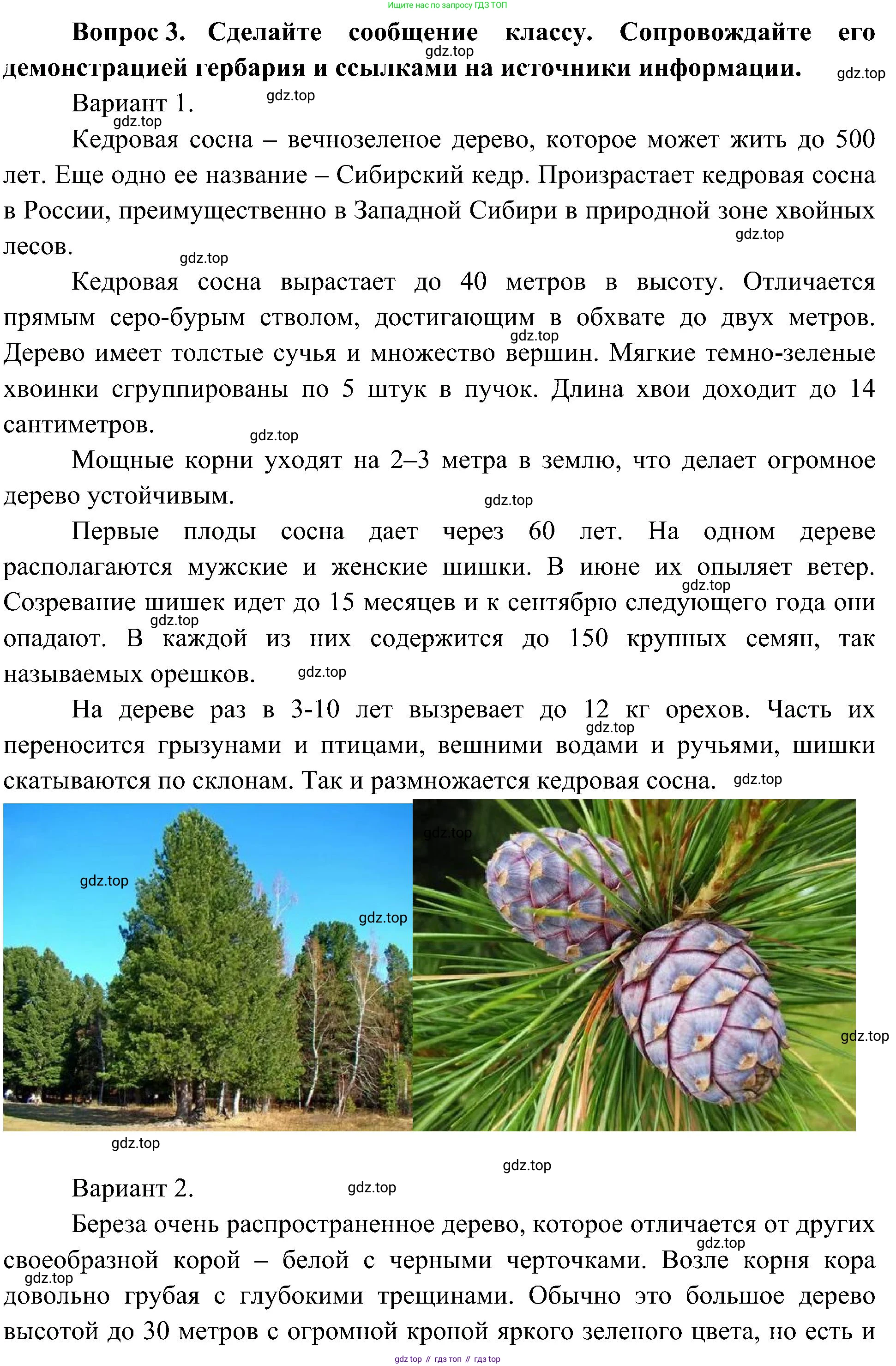 ГДЗ Окружающий мир, 4 класс Учебник, авторы: Плешаков Андрей Анатольевич, Новицкая Марина Юрьевна, издательство Просвещение, Москва, 2019, белого цвета, Часть 1, страница 91, номер 3, Решение