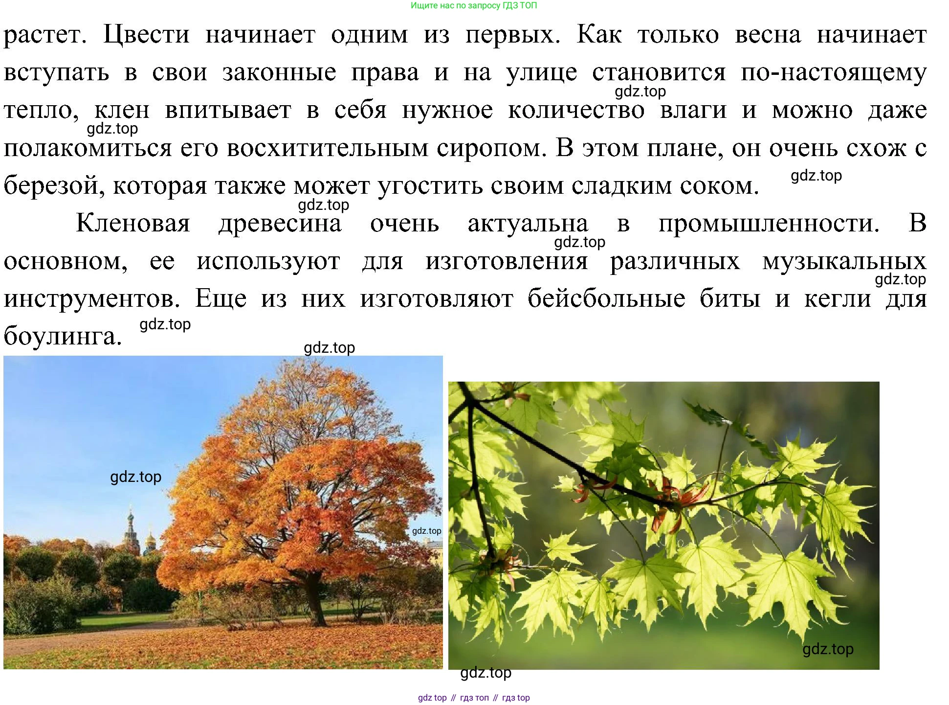 ГДЗ Окружающий мир, 4 класс Учебник, авторы: Плешаков Андрей Анатольевич, Новицкая Марина Юрьевна, издательство Просвещение, Москва, 2019, белого цвета, Часть 1, страница 91, номер 3, Решение (продолжение 3)