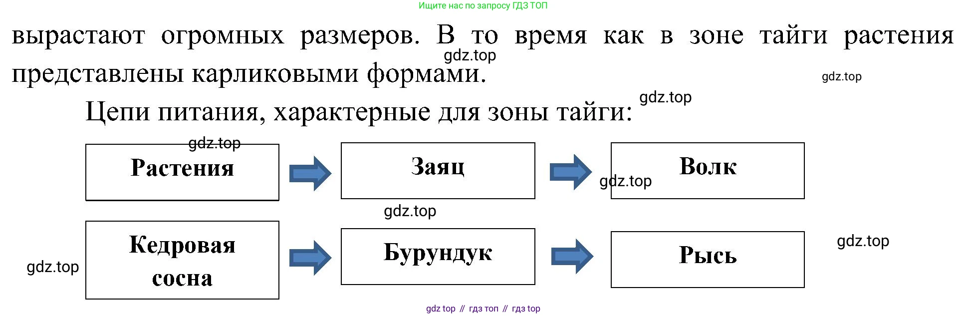 ГДЗ Окружающий мир, 4 класс Учебник, авторы: Плешаков Андрей Анатольевич, Новицкая Марина Юрьевна, издательство Просвещение, Москва, 2019, белого цвета, Часть 1, страница 91, Решение (продолжение 2)