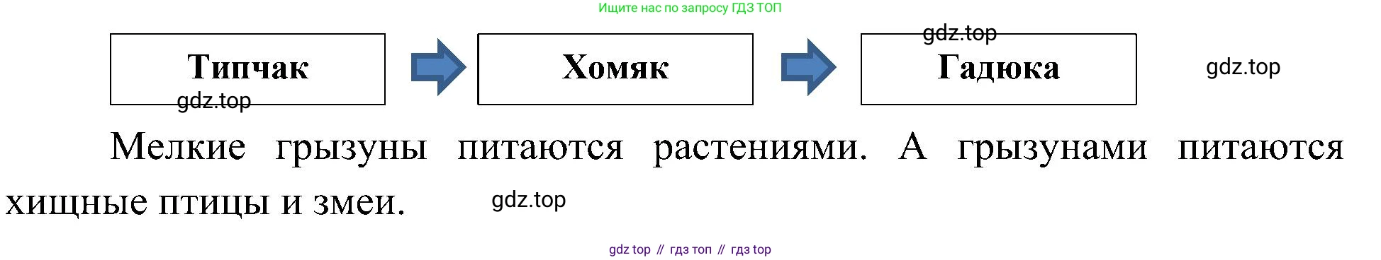 ГДЗ Окружающий мир, 4 класс Учебник, авторы: Плешаков Андрей Анатольевич, Новицкая Марина Юрьевна, издательство Просвещение, Москва, 2019, белого цвета, Часть 1, страница 95, номер 2, Решение (продолжение 2)