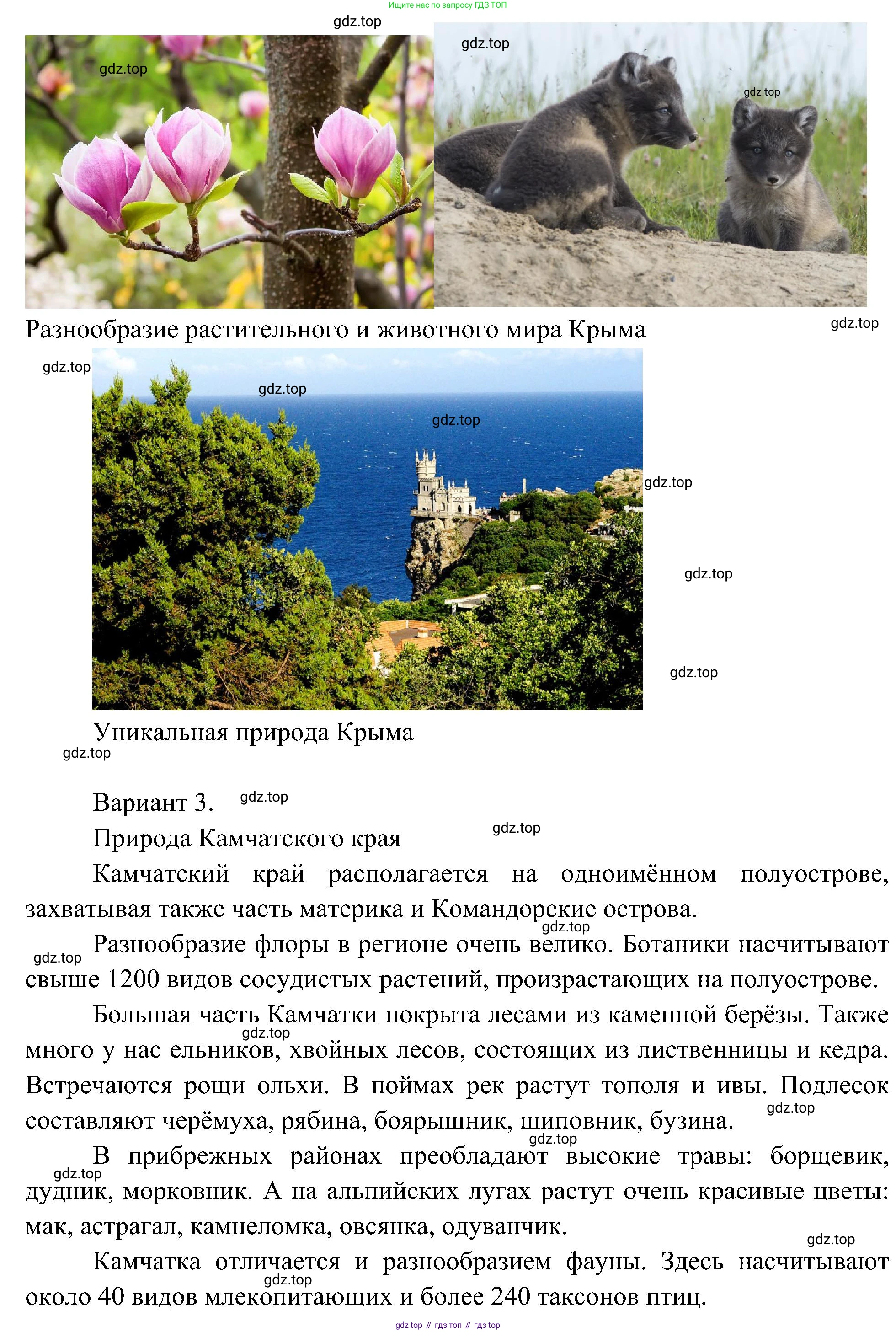 ГДЗ Окружающий мир, 4 класс Учебник, авторы: Плешаков Андрей Анатольевич, Новицкая Марина Юрьевна, издательство Просвещение, Москва, 2019, белого цвета, Часть 1, страница 126, Решение (продолжение 3)