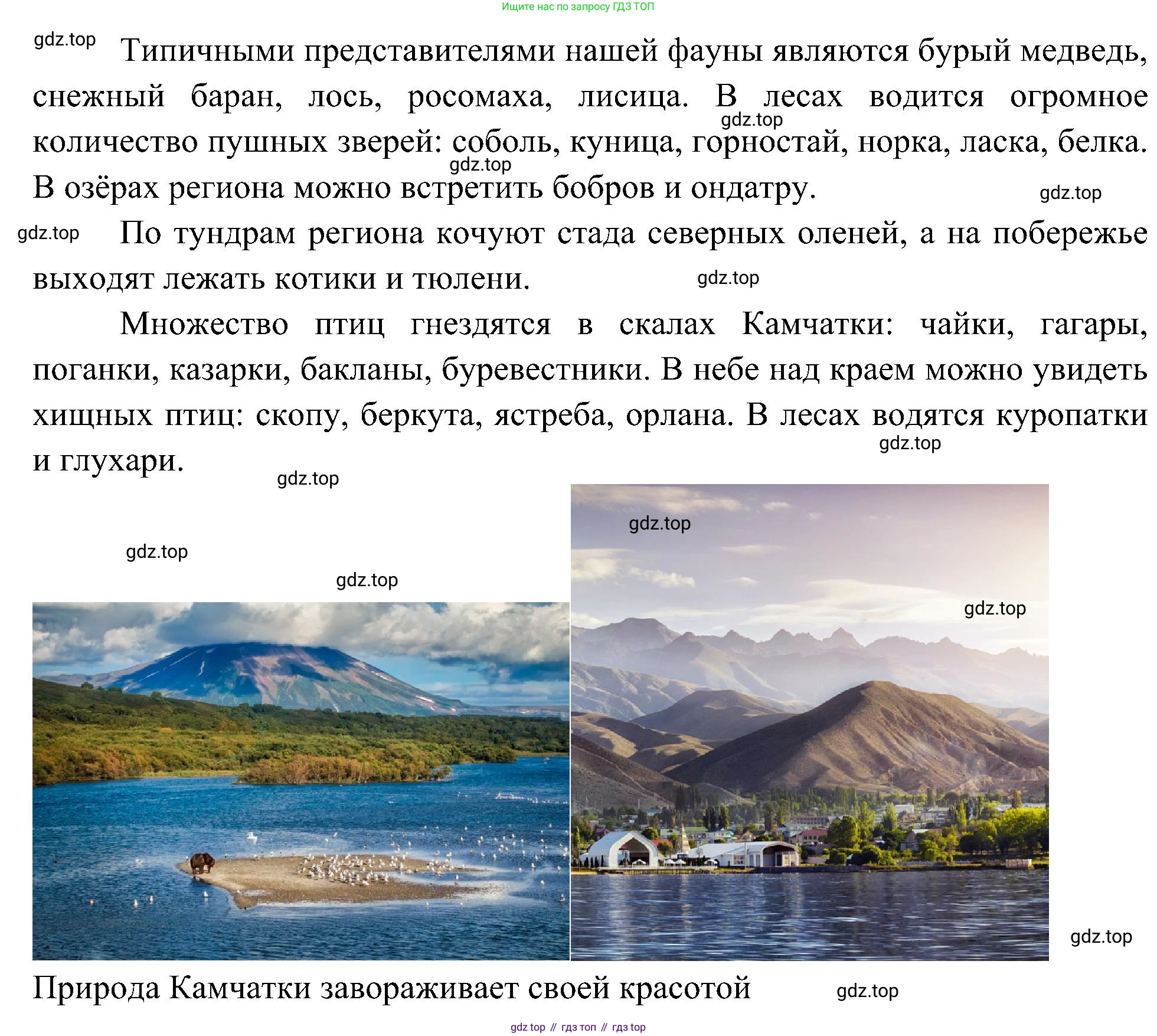 ГДЗ Окружающий мир, 4 класс Учебник, авторы: Плешаков Андрей Анатольевич, Новицкая Марина Юрьевна, издательство Просвещение, Москва, 2019, белого цвета, Часть 1, страница 126, Решение (продолжение 4)