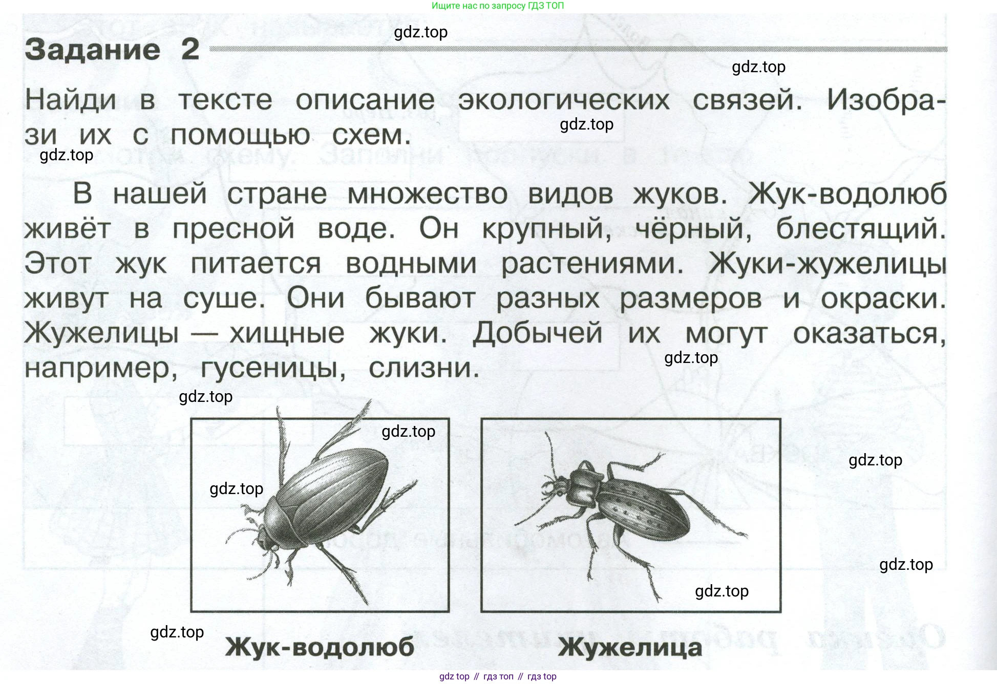 ГДЗ Окружающий мир, 4 класс Проверочные работы, авторы: Плешаков Андрей Анатольевич, Крючкова Елена Алексеевна, Плешаков С А, издательство Просвещение, Москва, 2023, белого цвета, страница 8, номер 2, Условие