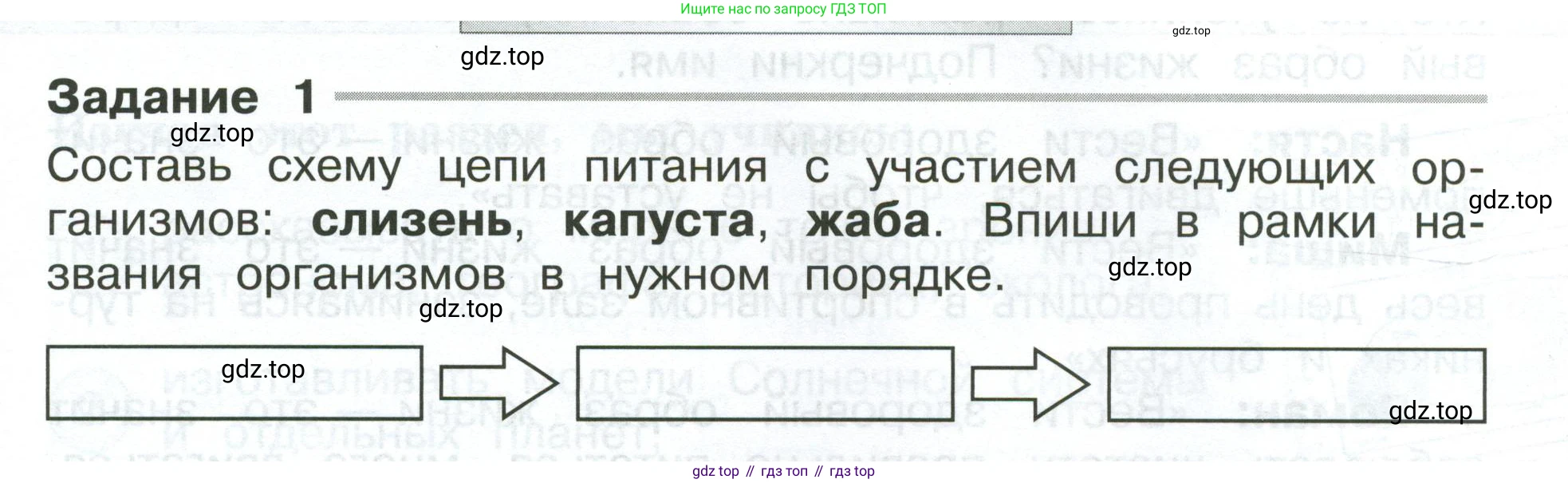 ГДЗ Окружающий мир, 4 класс Проверочные работы, авторы: Плешаков Андрей Анатольевич, Крючкова Елена Алексеевна, Плешаков С А, издательство Просвещение, Москва, 2023, белого цвета, страница 11, номер 1, Условие