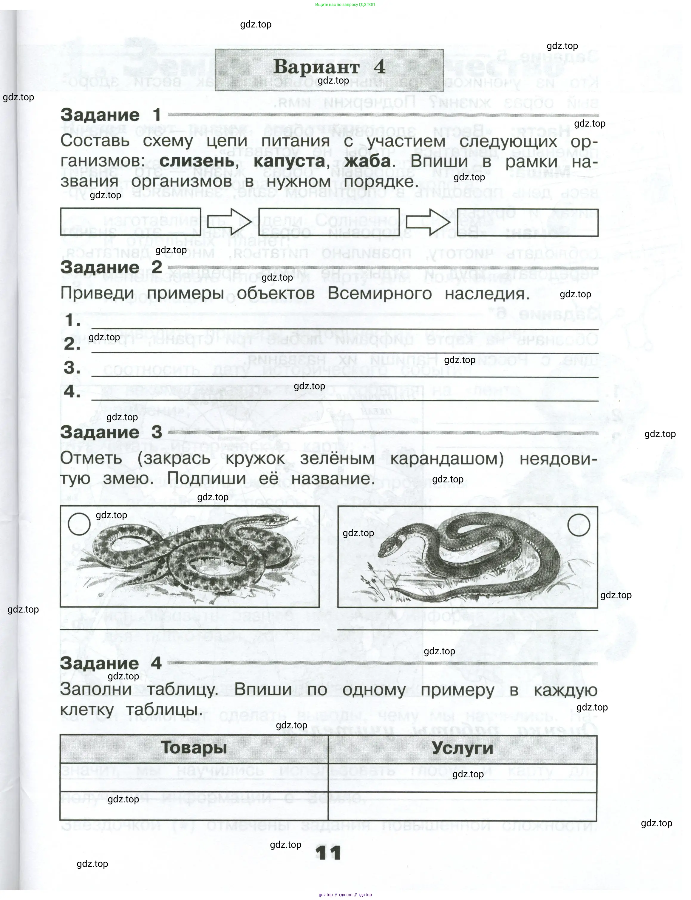 Окружающий мир, 4 класс Проверочные работы, авторы: Плешаков Андрей Анатольевич, Крючкова Елена Алексеевна, Плешаков С А, издательство Просвещение, Москва, 2023, белого цвета, страница 11