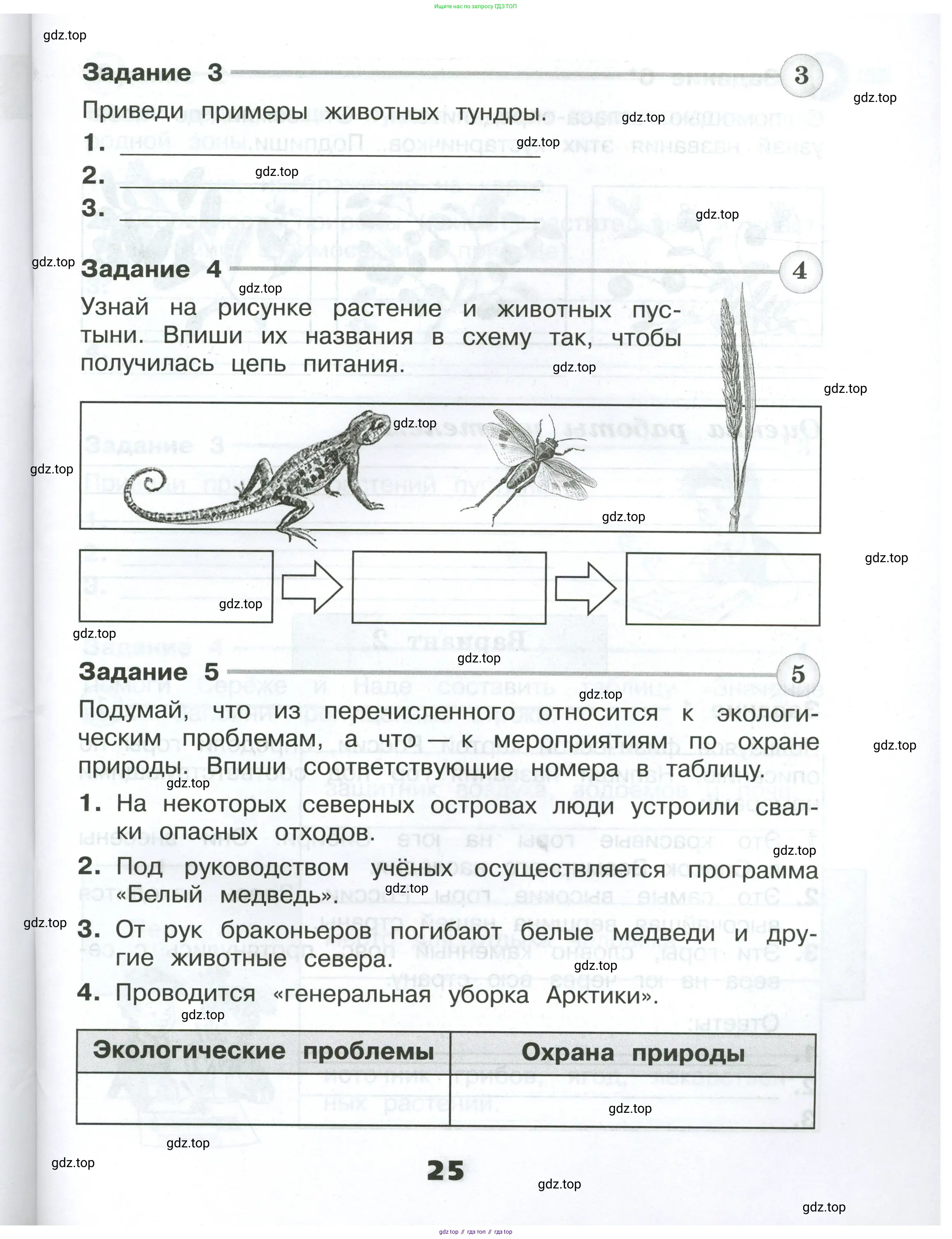 Окружающий мир, 4 класс Проверочные работы, авторы: Плешаков Андрей Анатольевич, Крючкова Елена Алексеевна, Плешаков С А, издательство Просвещение, Москва, 2023, белого цвета, страница 25