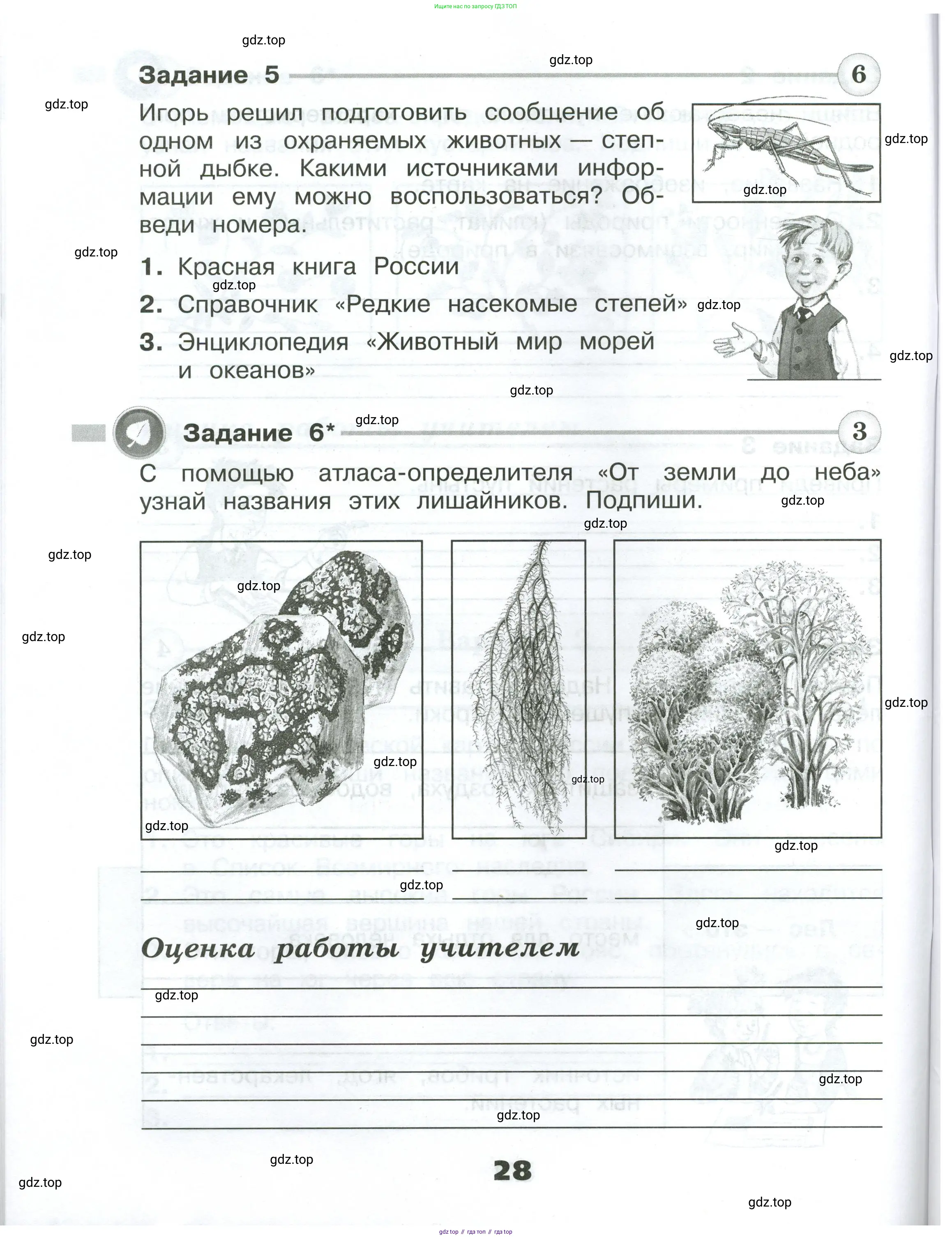 Окружающий мир, 4 класс Проверочные работы, авторы: Плешаков Андрей Анатольевич, Крючкова Елена Алексеевна, Плешаков С А, издательство Просвещение, Москва, 2023, белого цвета, страница 28