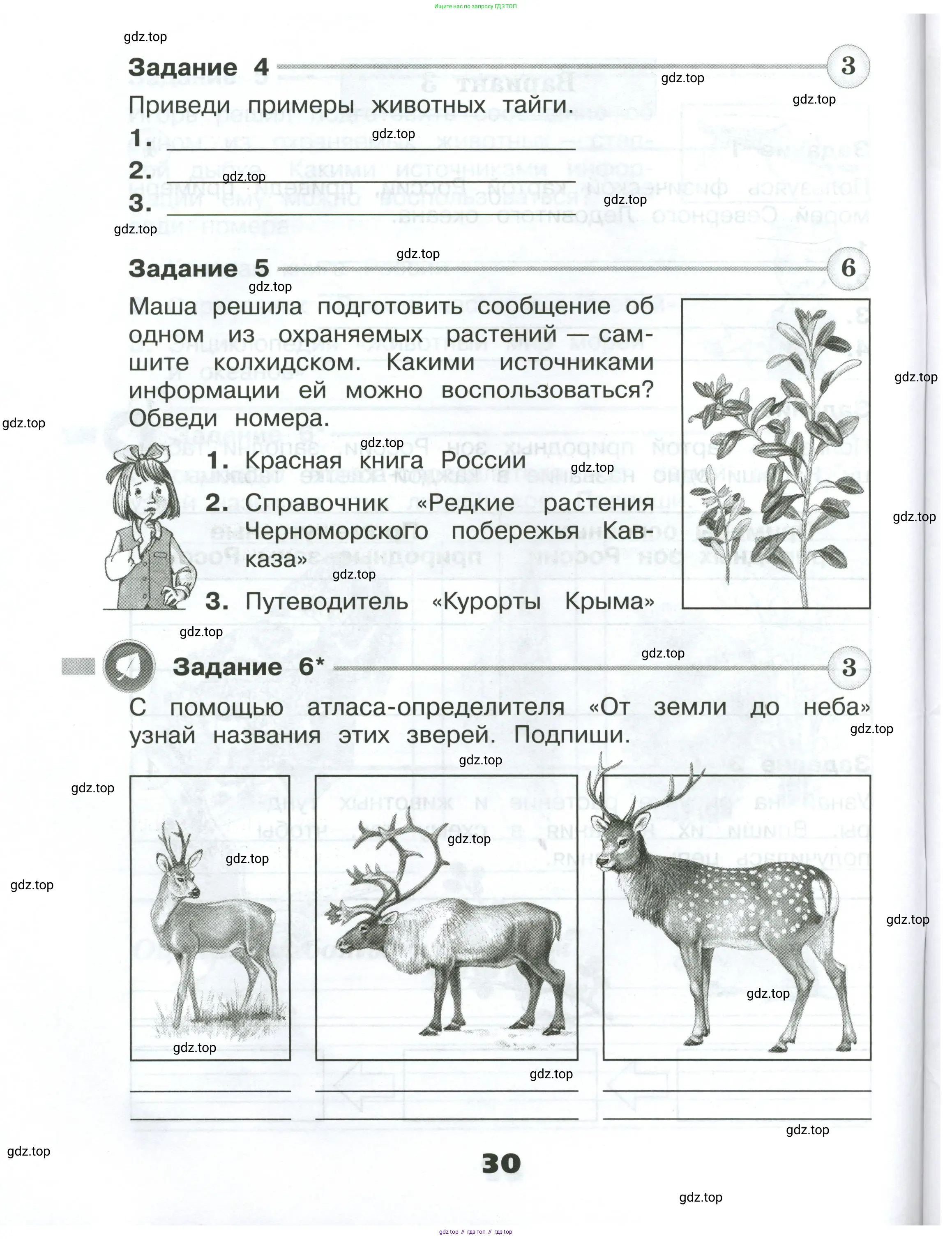 Окружающий мир, 4 класс Проверочные работы, авторы: Плешаков Андрей Анатольевич, Крючкова Елена Алексеевна, Плешаков С А, издательство Просвещение, Москва, 2023, белого цвета, страница 30