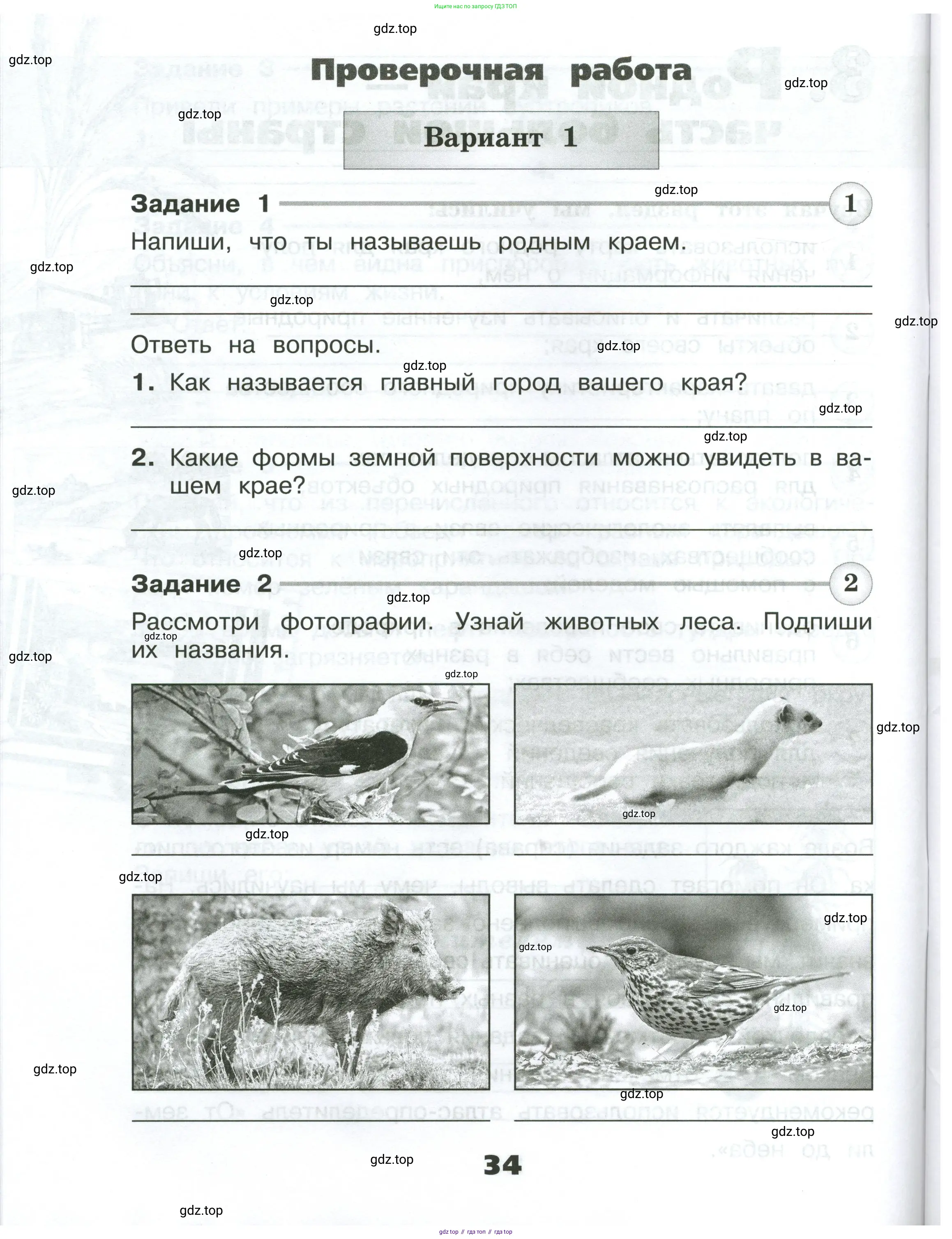 Окружающий мир, 4 класс Проверочные работы, авторы: Плешаков Андрей Анатольевич, Крючкова Елена Алексеевна, Плешаков С А, издательство Просвещение, Москва, 2023, белого цвета, страница 34