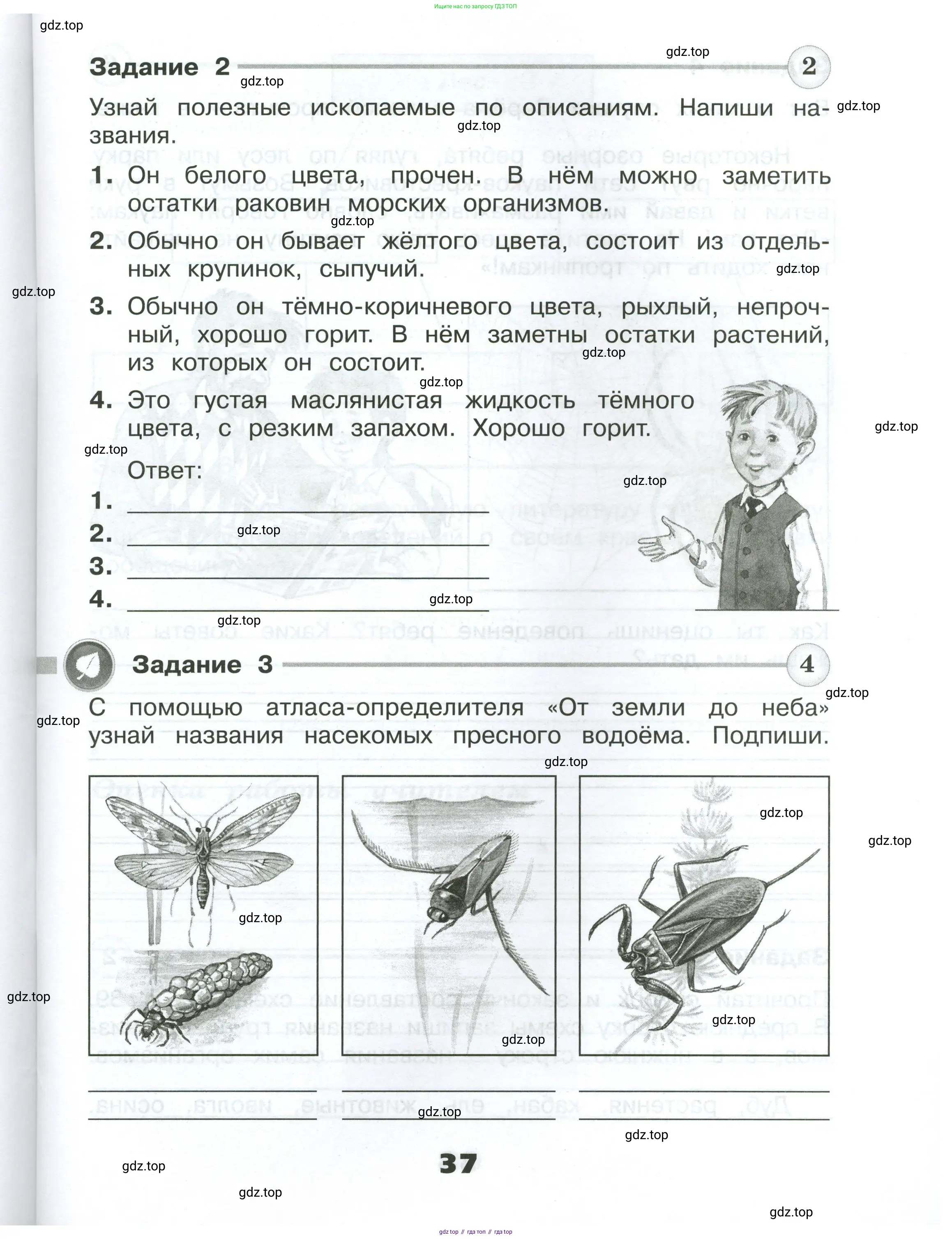 Окружающий мир, 4 класс Проверочные работы, авторы: Плешаков Андрей Анатольевич, Крючкова Елена Алексеевна, Плешаков С А, издательство Просвещение, Москва, 2023, белого цвета, страница 37