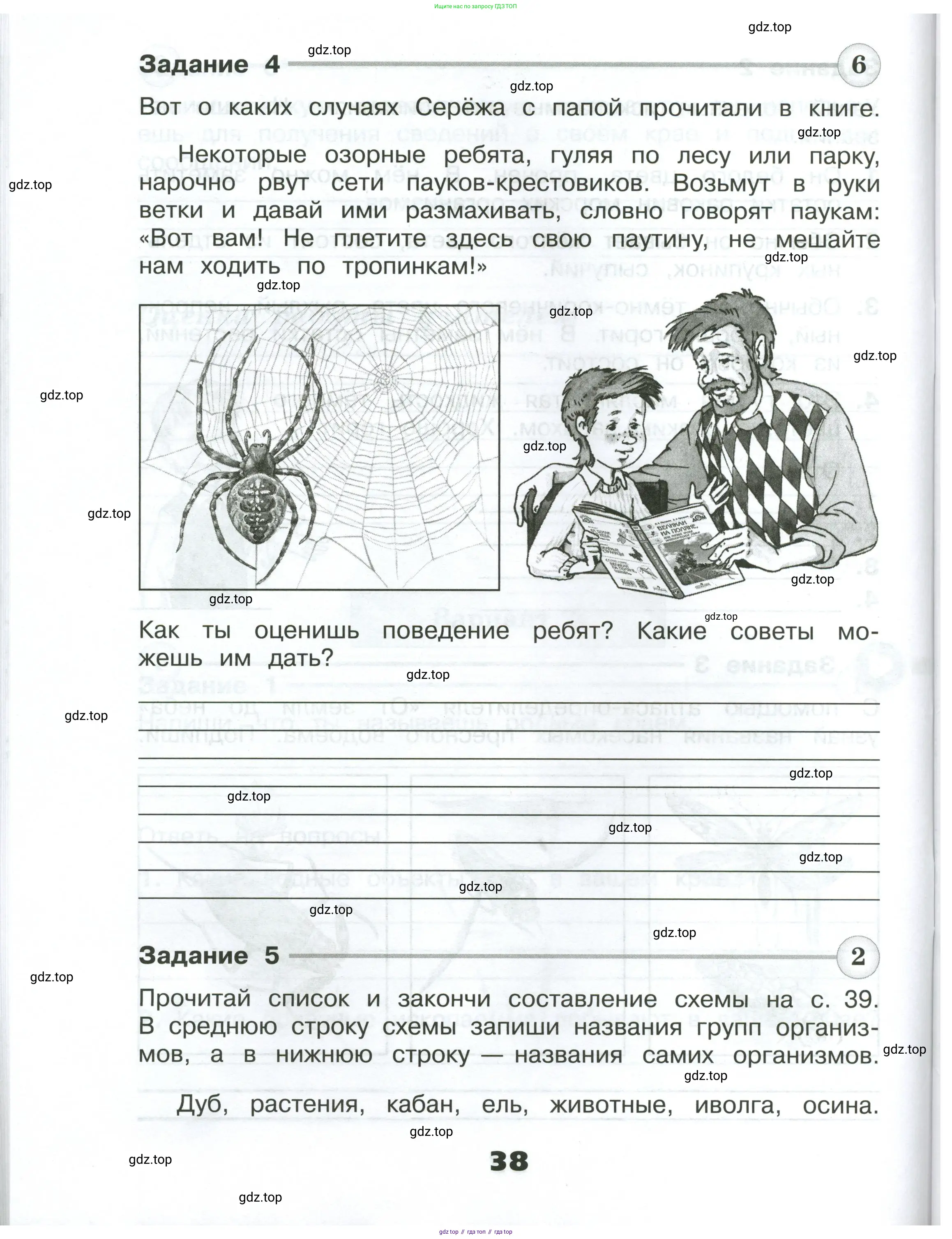 Окружающий мир, 4 класс Проверочные работы, авторы: Плешаков Андрей Анатольевич, Крючкова Елена Алексеевна, Плешаков С А, издательство Просвещение, Москва, 2023, белого цвета, страница 38