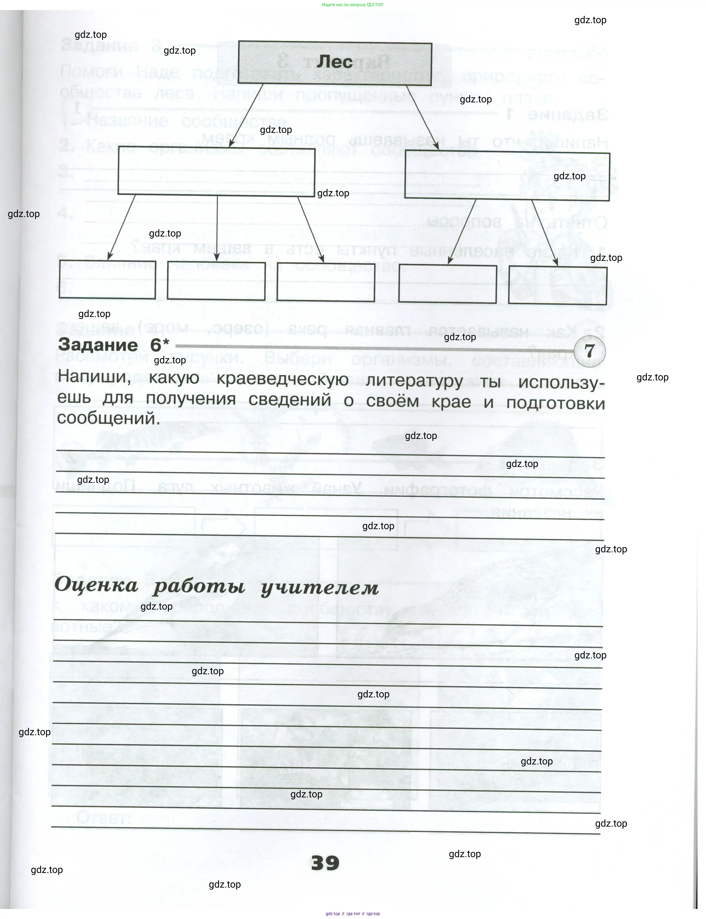 Окружающий мир, 4 класс Проверочные работы, авторы: Плешаков Андрей Анатольевич, Крючкова Елена Алексеевна, Плешаков С А, издательство Просвещение, Москва, 2023, белого цвета, страница 39