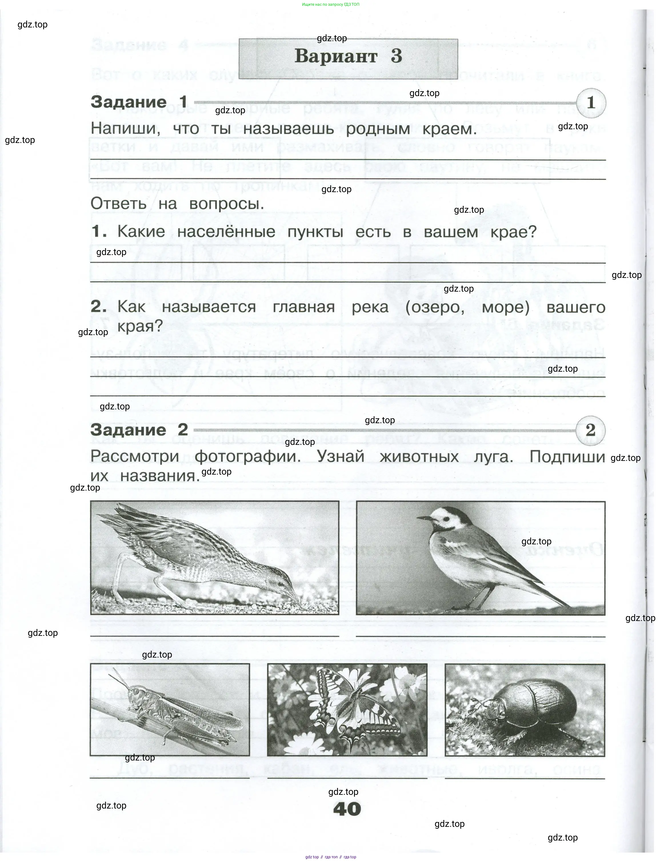 Окружающий мир, 4 класс Проверочные работы, авторы: Плешаков Андрей Анатольевич, Крючкова Елена Алексеевна, Плешаков С А, издательство Просвещение, Москва, 2023, белого цвета, страница 40
