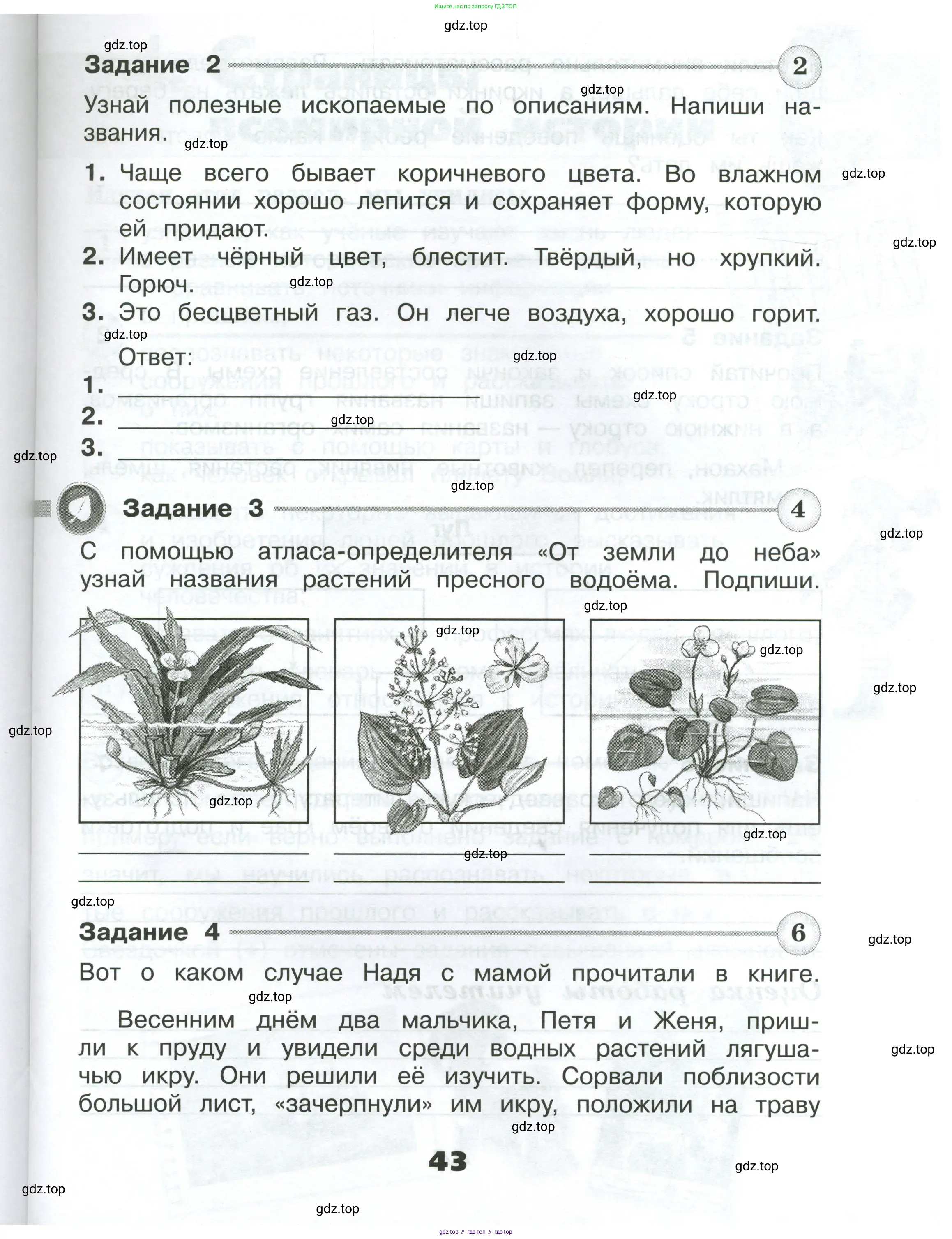 Окружающий мир, 4 класс Проверочные работы, авторы: Плешаков Андрей Анатольевич, Крючкова Елена Алексеевна, Плешаков С А, издательство Просвещение, Москва, 2023, белого цвета, страница 43