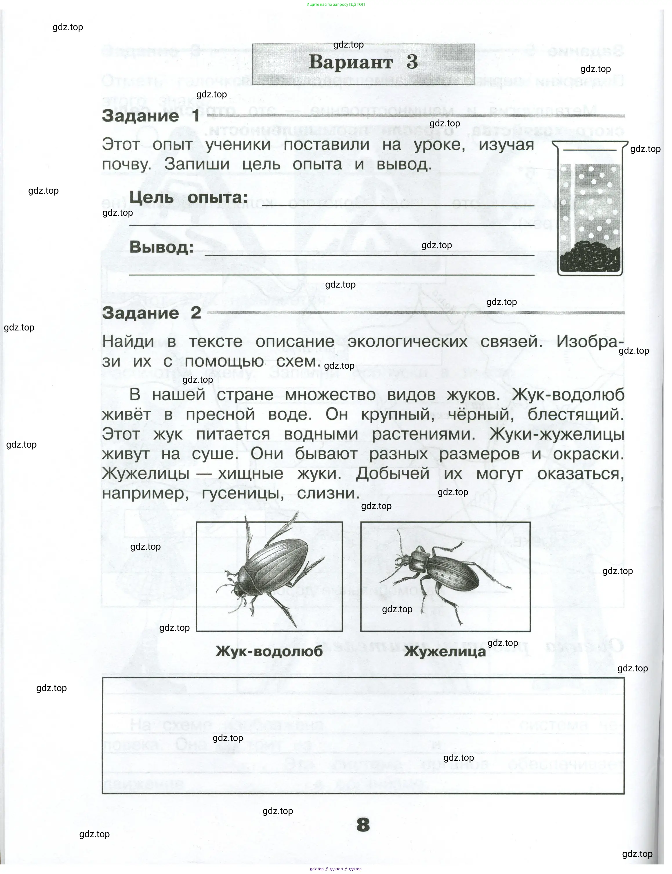 Окружающий мир, 4 класс Проверочные работы, авторы: Плешаков Андрей Анатольевич, Крючкова Елена Алексеевна, Плешаков С А, издательство Просвещение, Москва, 2023, белого цвета, страница 8
