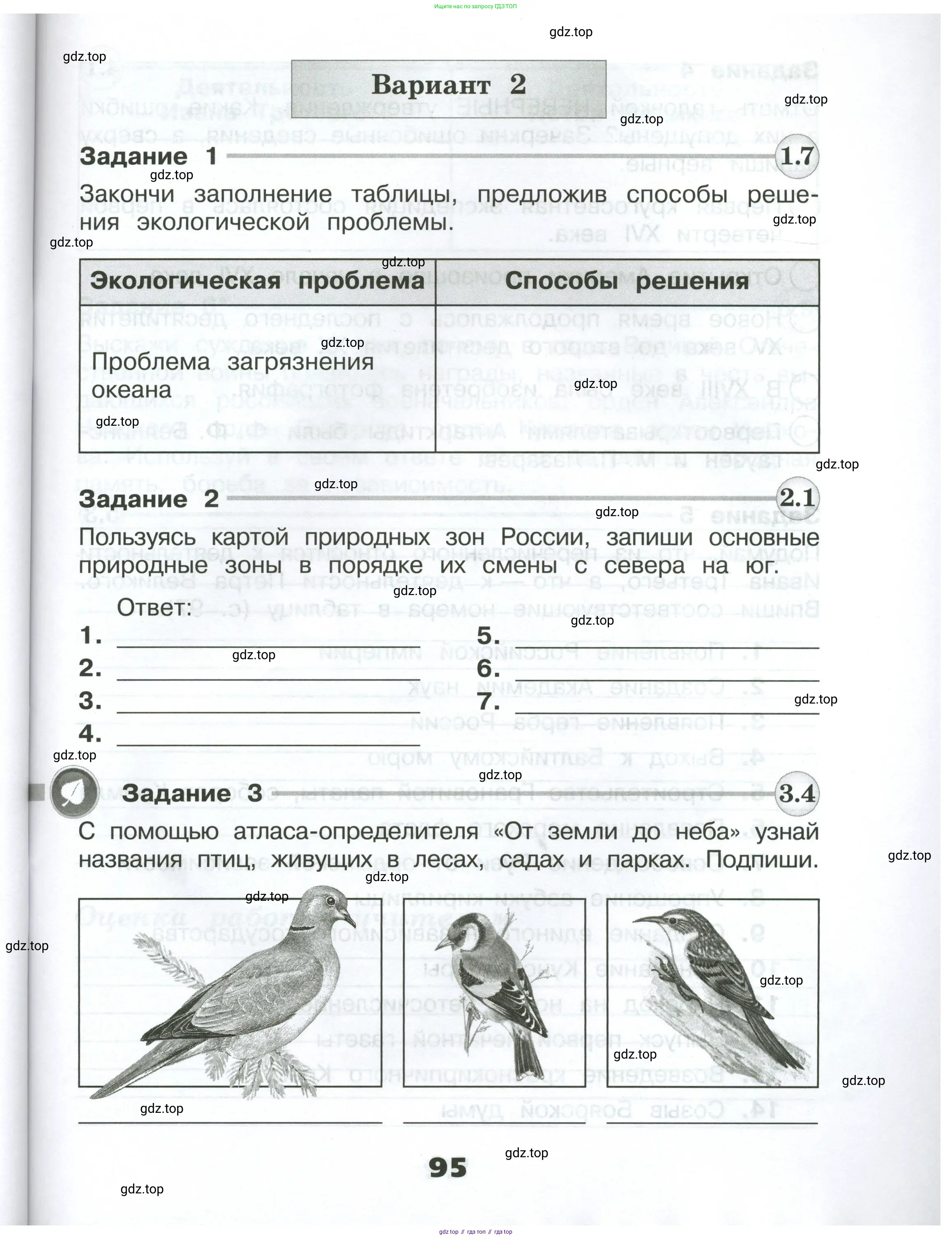 Окружающий мир, 4 класс Проверочные работы, авторы: Плешаков Андрей Анатольевич, Крючкова Елена Алексеевна, Плешаков С А, издательство Просвещение, Москва, 2023, белого цвета, страница 95