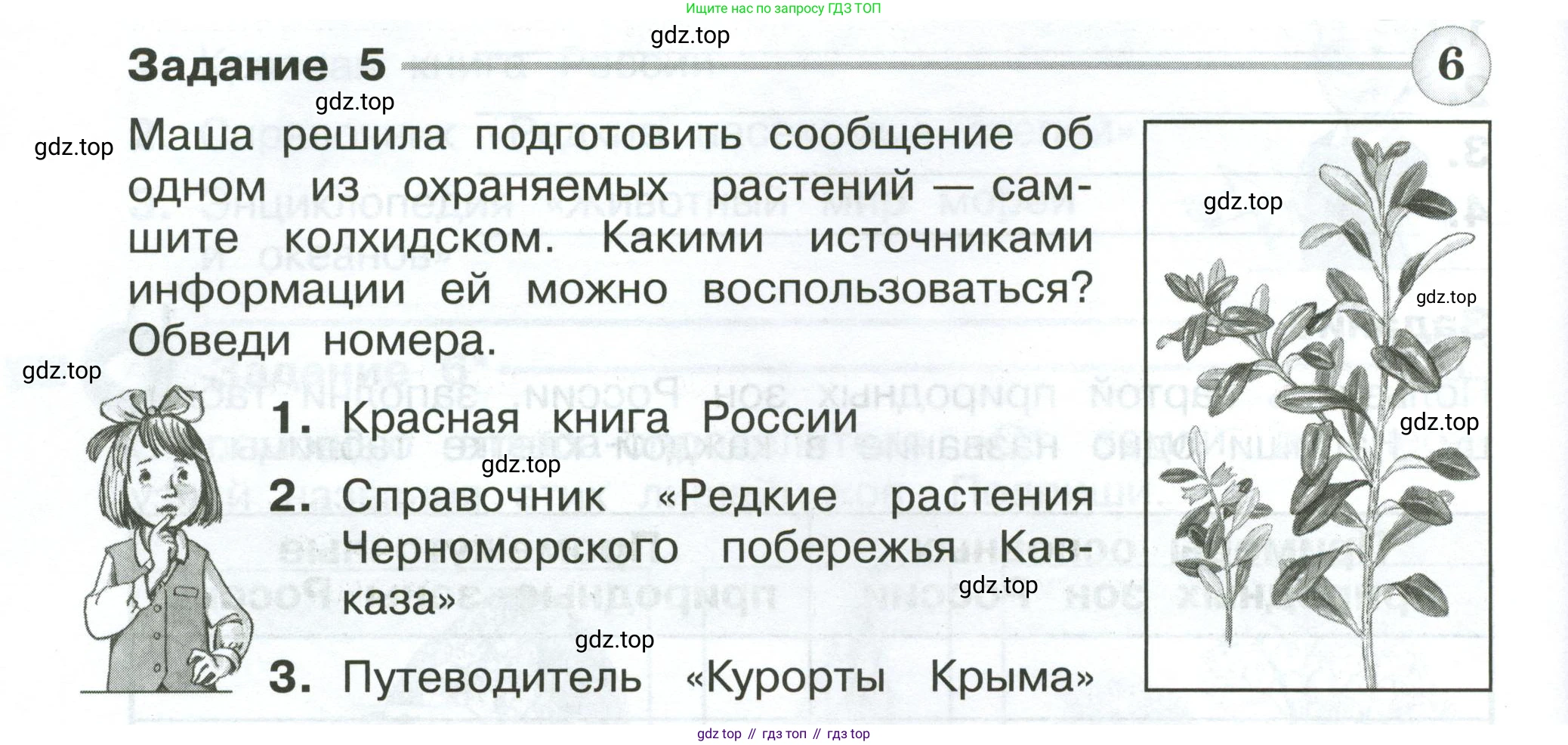 ГДЗ Окружающий мир, 4 класс Проверочные работы, авторы: Плешаков Андрей Анатольевич, Крючкова Елена Алексеевна, Плешаков С А, издательство Просвещение, Москва, 2023, белого цвета, страница 30, номер 5, Условие