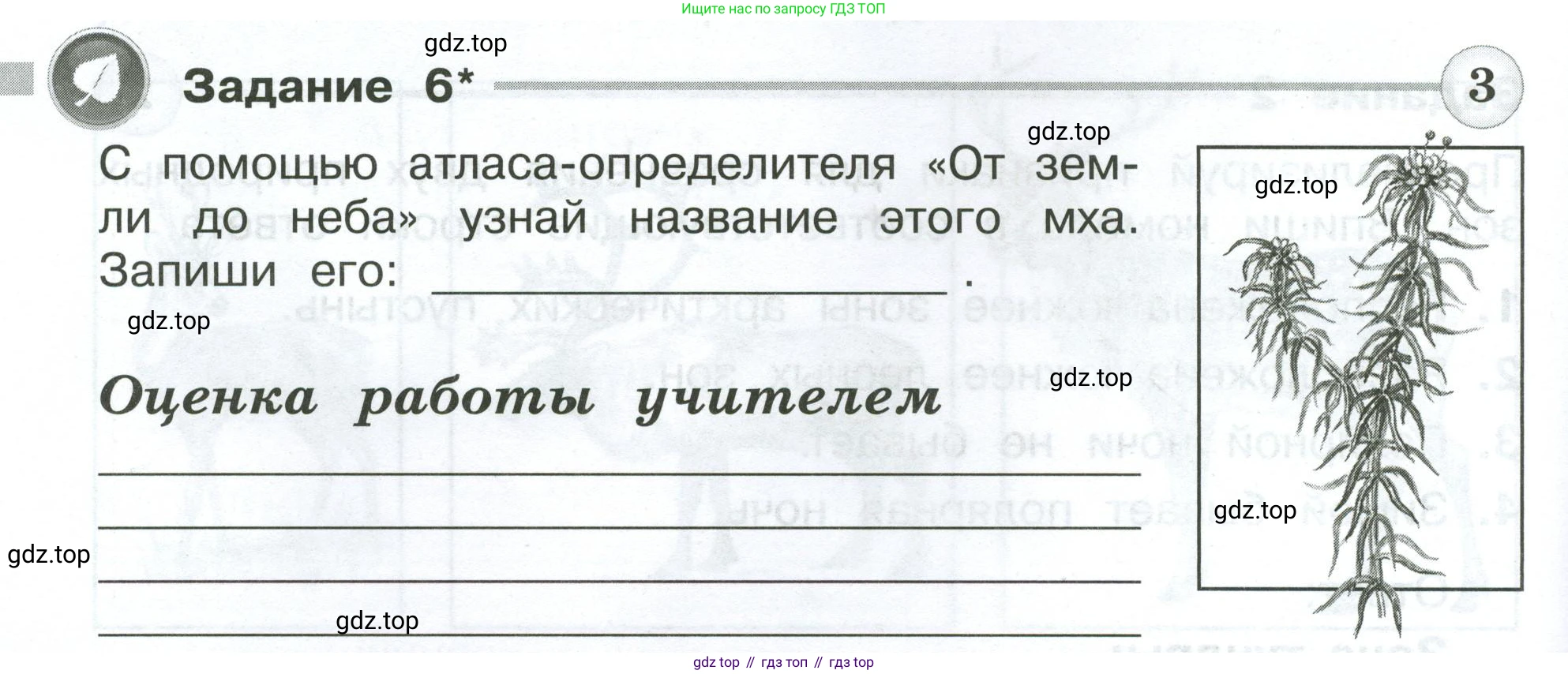 ГДЗ Окружающий мир, 4 класс Проверочные работы, авторы: Плешаков Андрей Анатольевич, Крючкова Елена Алексеевна, Плешаков С А, издательство Просвещение, Москва, 2023, белого цвета, страница 32, номер 6, Условие
