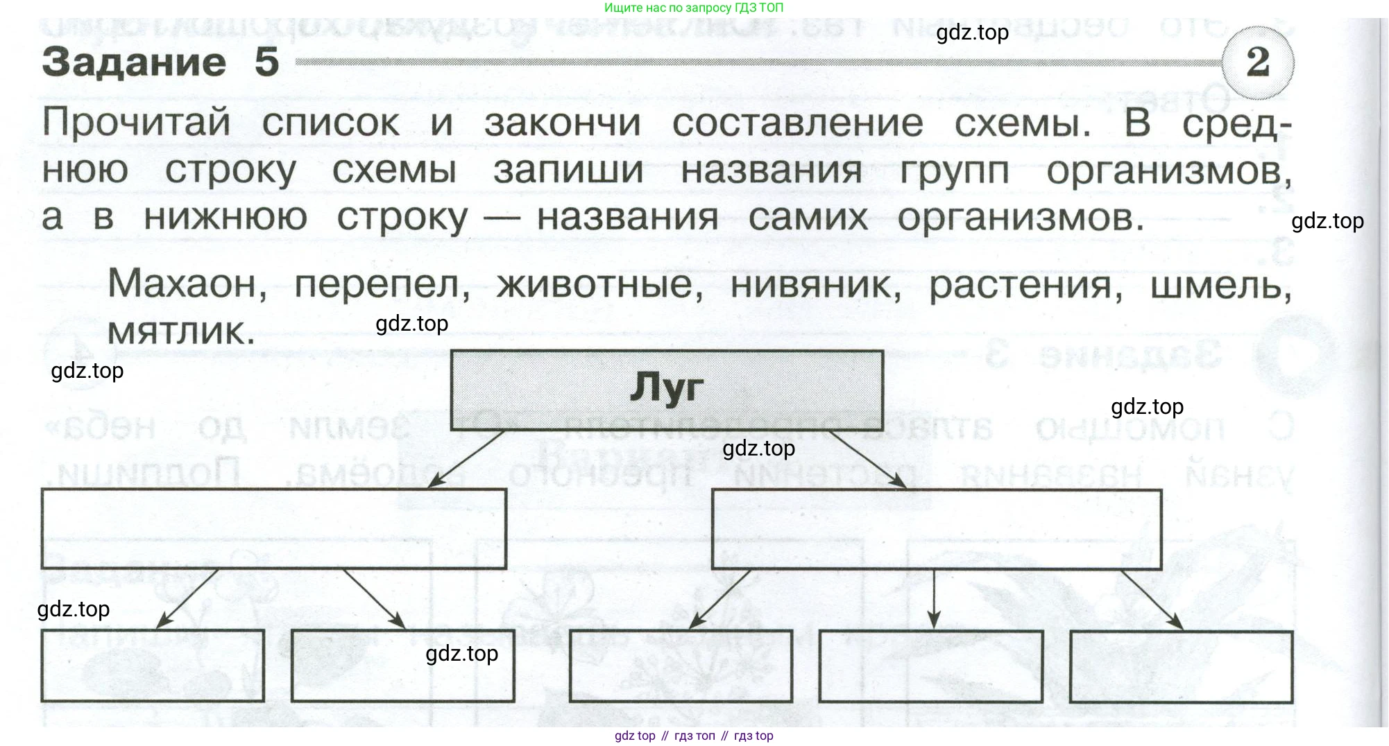ГДЗ Окружающий мир, 4 класс Проверочные работы, авторы: Плешаков Андрей Анатольевич, Крючкова Елена Алексеевна, Плешаков С А, издательство Просвещение, Москва, 2023, белого цвета, страница 44, номер 5, Условие