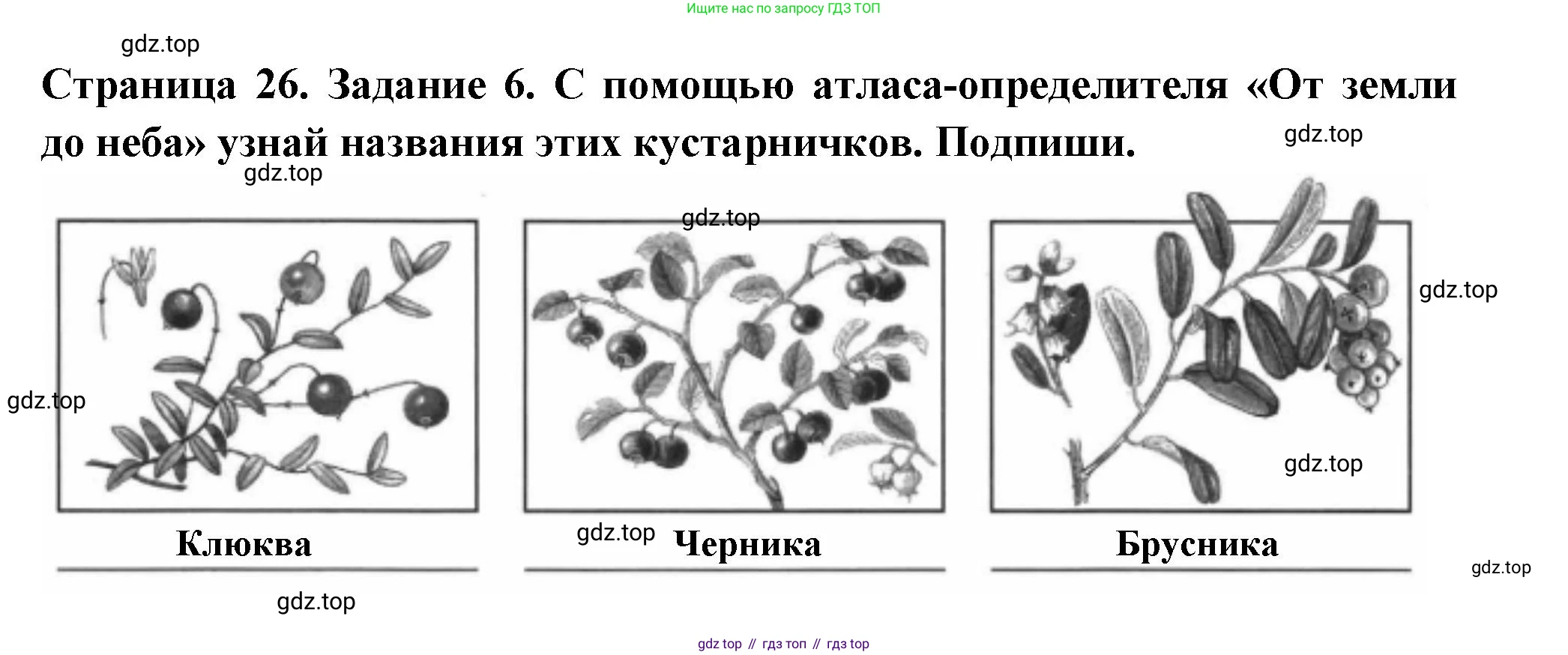 ГДЗ Окружающий мир, 4 класс Проверочные работы, авторы: Плешаков Андрей Анатольевич, Крючкова Елена Алексеевна, Плешаков С А, издательство Просвещение, Москва, 2023, белого цвета, страница 26, номер 6, Решение