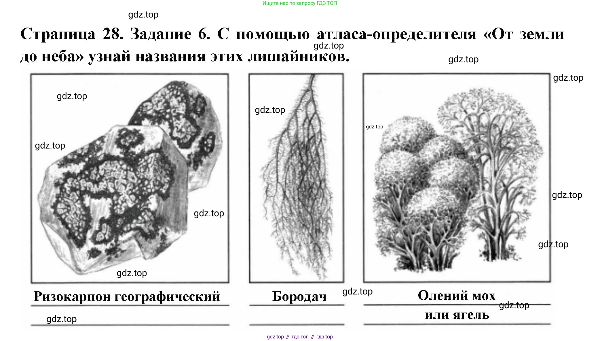 ГДЗ Окружающий мир, 4 класс Проверочные работы, авторы: Плешаков Андрей Анатольевич, Крючкова Елена Алексеевна, Плешаков С А, издательство Просвещение, Москва, 2023, белого цвета, страница 28, номер 6, Решение