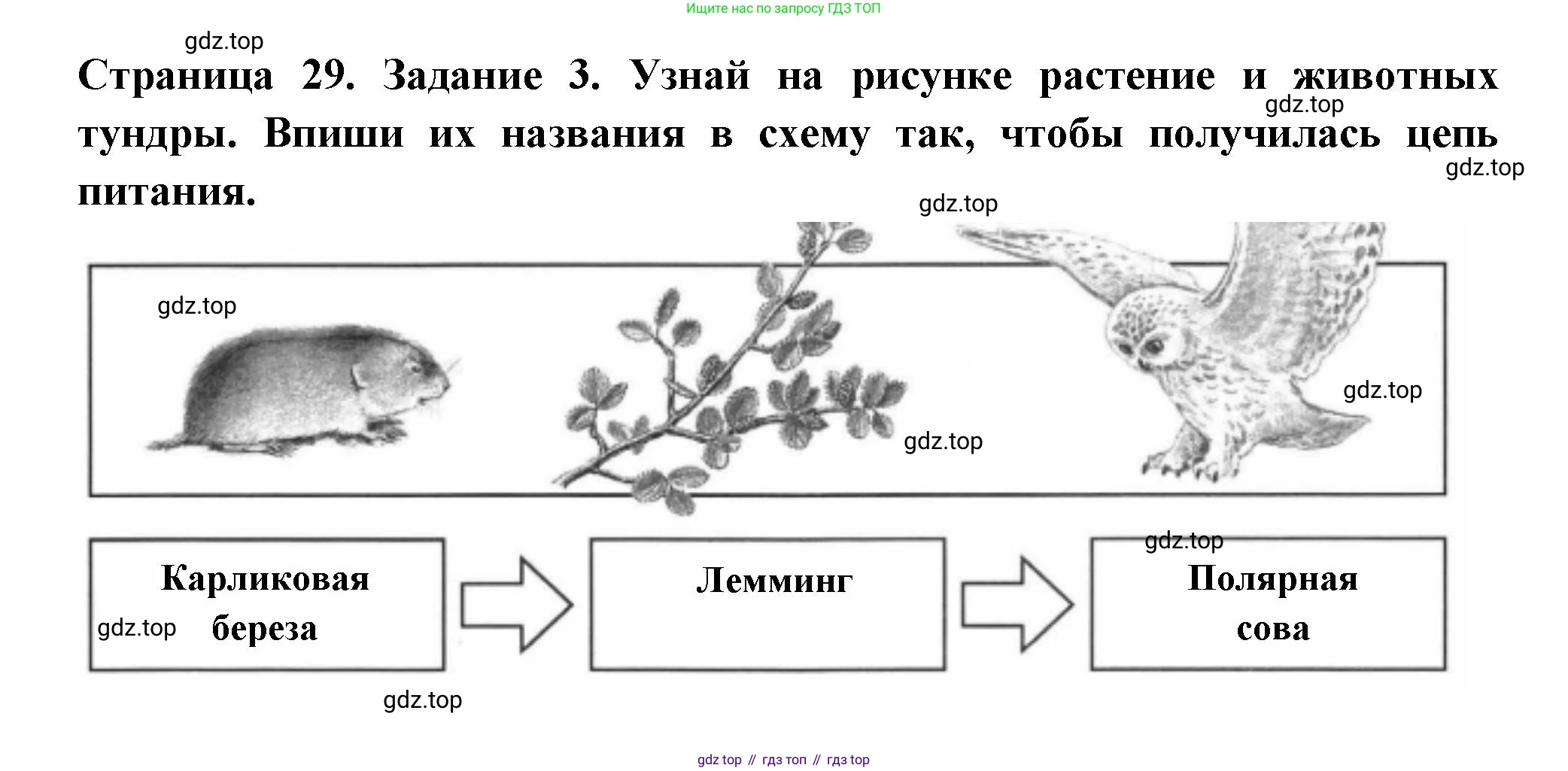 ГДЗ Окружающий мир, 4 класс Проверочные работы, авторы: Плешаков Андрей Анатольевич, Крючкова Елена Алексеевна, Плешаков С А, издательство Просвещение, Москва, 2023, белого цвета, страница 29, номер 3, Решение