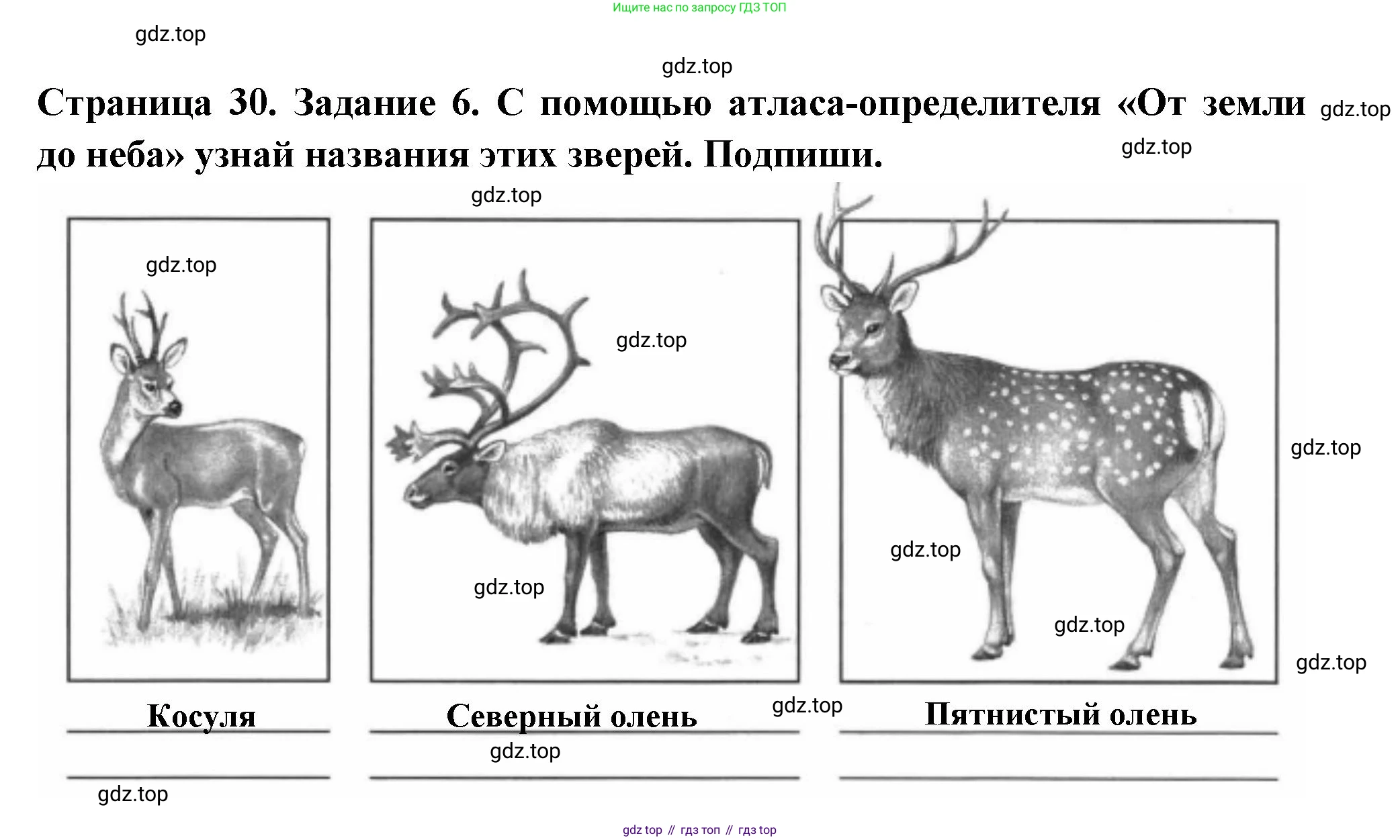 ГДЗ Окружающий мир, 4 класс Проверочные работы, авторы: Плешаков Андрей Анатольевич, Крючкова Елена Алексеевна, Плешаков С А, издательство Просвещение, Москва, 2023, белого цвета, страница 30, номер 6, Решение