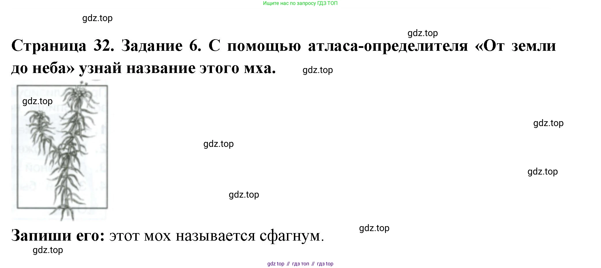 ГДЗ Окружающий мир, 4 класс Проверочные работы, авторы: Плешаков Андрей Анатольевич, Крючкова Елена Алексеевна, Плешаков С А, издательство Просвещение, Москва, 2023, белого цвета, страница 32, номер 6, Решение