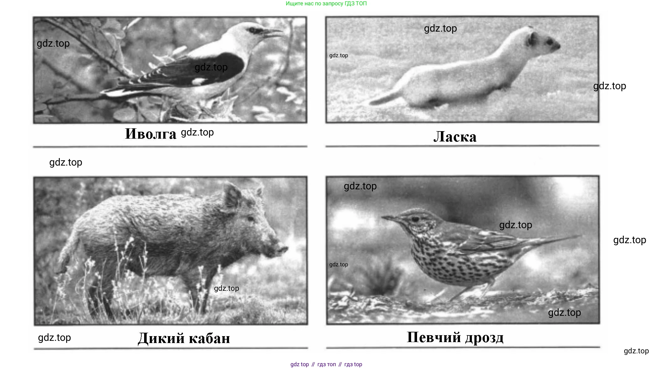ГДЗ Окружающий мир, 4 класс Проверочные работы, авторы: Плешаков Андрей Анатольевич, Крючкова Елена Алексеевна, Плешаков С А, издательство Просвещение, Москва, 2023, белого цвета, страница 34, номер 2, Решение (продолжение 2)