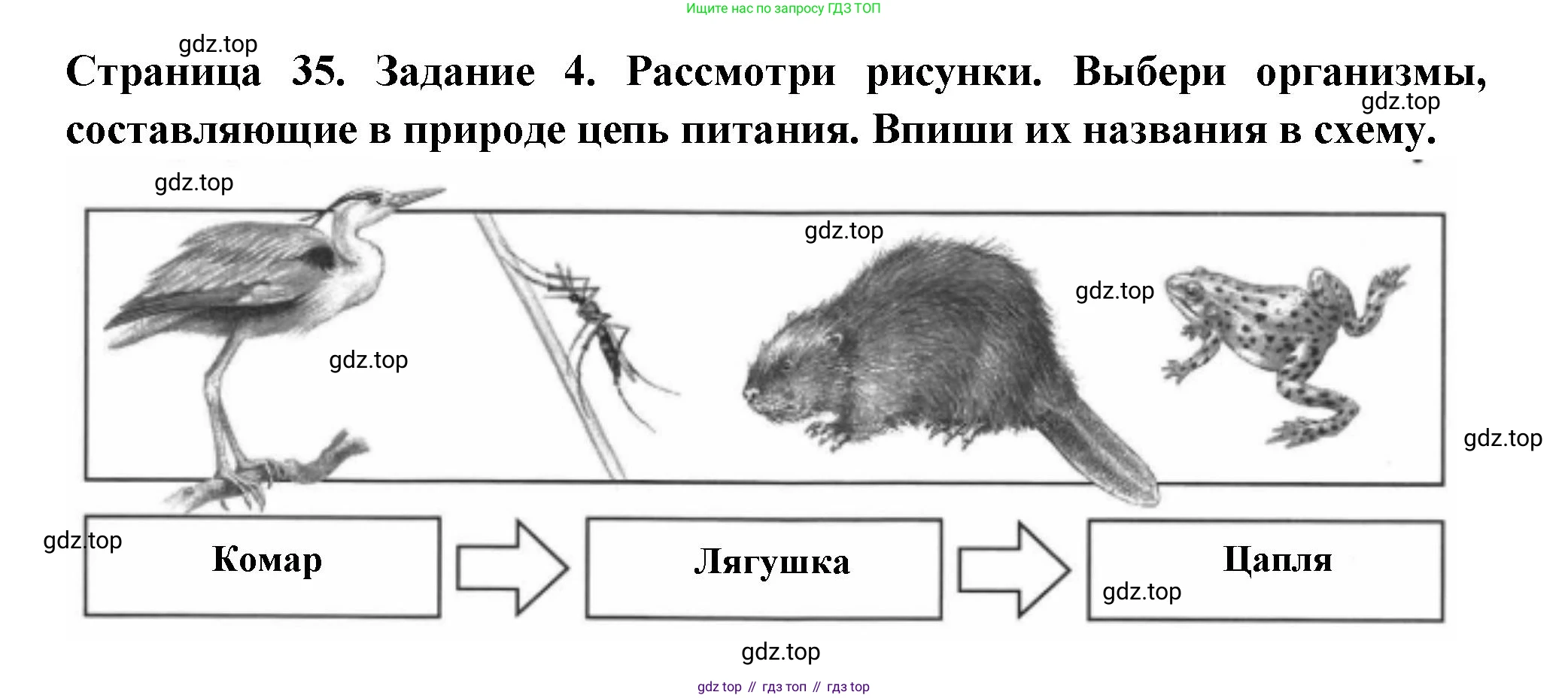 ГДЗ Окружающий мир, 4 класс Проверочные работы, авторы: Плешаков Андрей Анатольевич, Крючкова Елена Алексеевна, Плешаков С А, издательство Просвещение, Москва, 2023, белого цвета, страница 35, номер 4, Решение