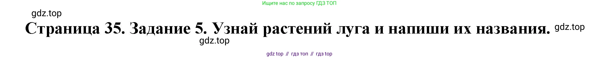 ГДЗ Окружающий мир, 4 класс Проверочные работы, авторы: Плешаков Андрей Анатольевич, Крючкова Елена Алексеевна, Плешаков С А, издательство Просвещение, Москва, 2023, белого цвета, страница 35, номер 5, Решение