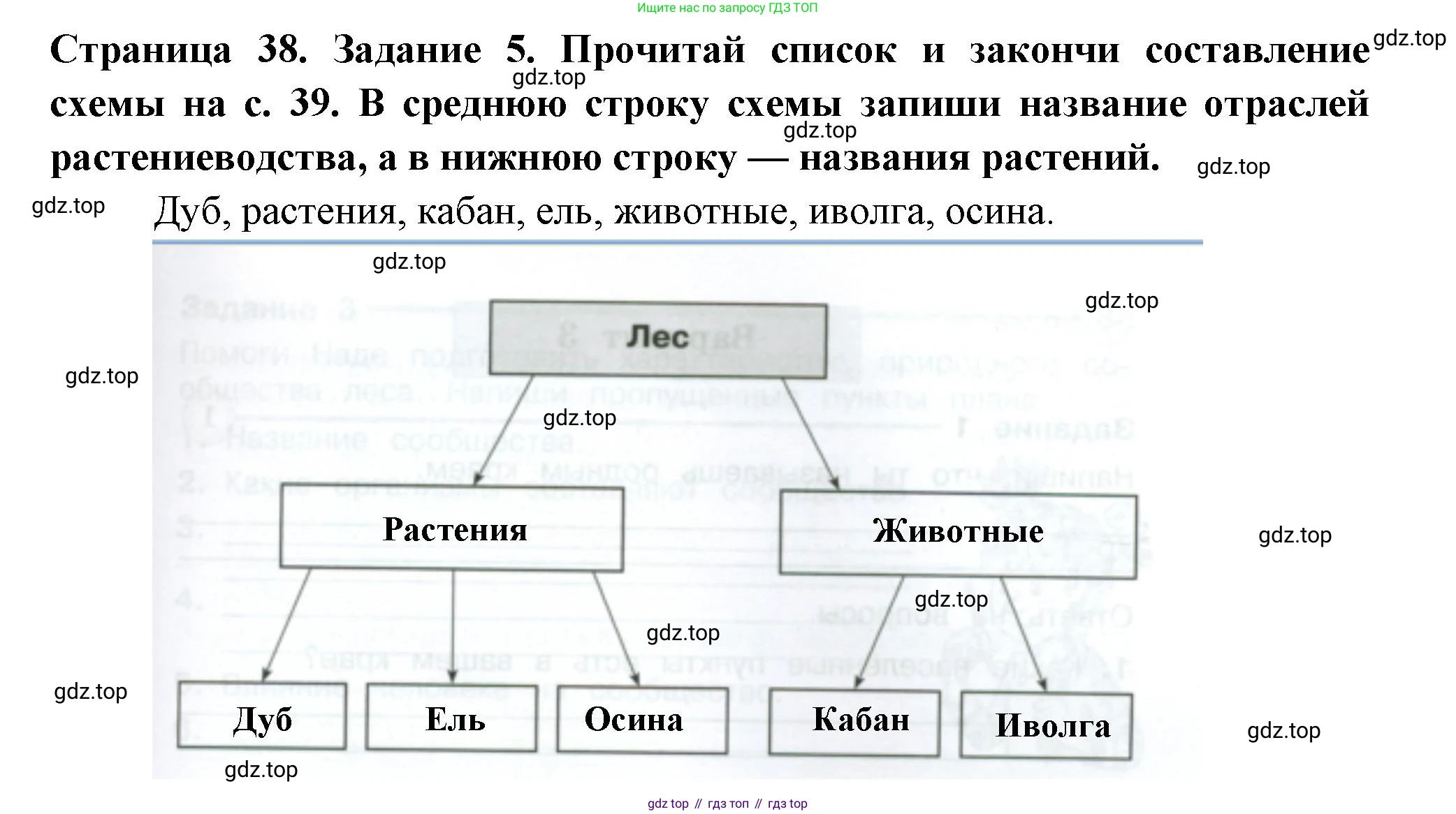 ГДЗ Окружающий мир, 4 класс Проверочные работы, авторы: Плешаков Андрей Анатольевич, Крючкова Елена Алексеевна, Плешаков С А, издательство Просвещение, Москва, 2023, белого цвета, страница 38, номер 5, Решение