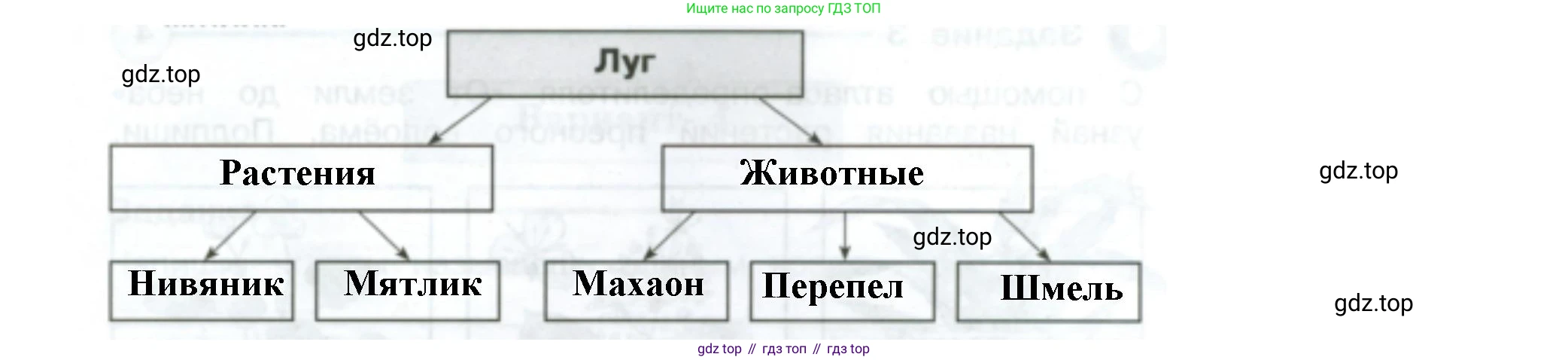 ГДЗ Окружающий мир, 4 класс Проверочные работы, авторы: Плешаков Андрей Анатольевич, Крючкова Елена Алексеевна, Плешаков С А, издательство Просвещение, Москва, 2023, белого цвета, страница 44, номер 5, Решение (продолжение 2)