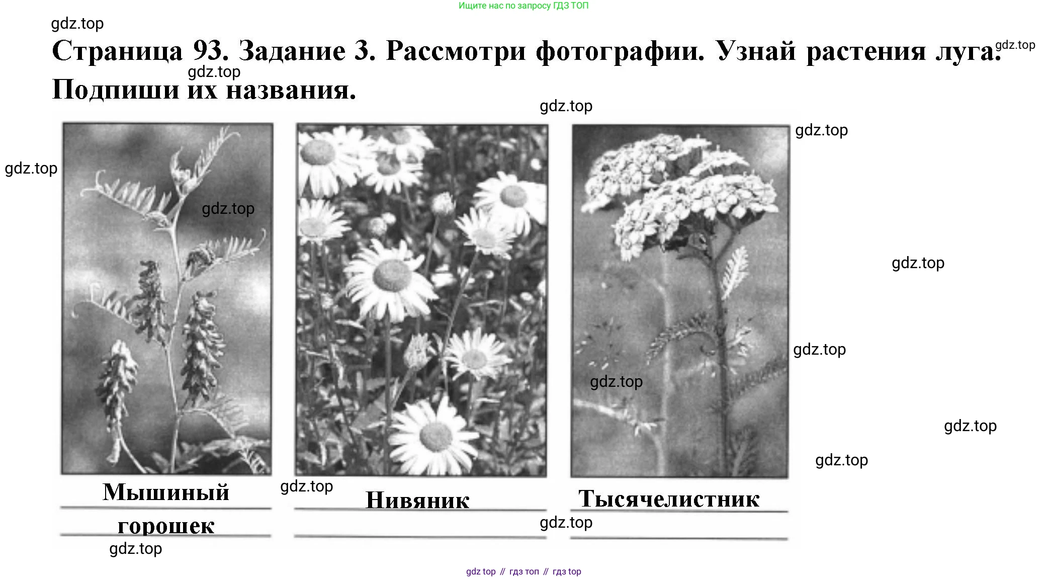 ГДЗ Окружающий мир, 4 класс Проверочные работы, авторы: Плешаков Андрей Анатольевич, Крючкова Елена Алексеевна, Плешаков С А, издательство Просвещение, Москва, 2023, белого цвета, страница 93, номер 3, Решение