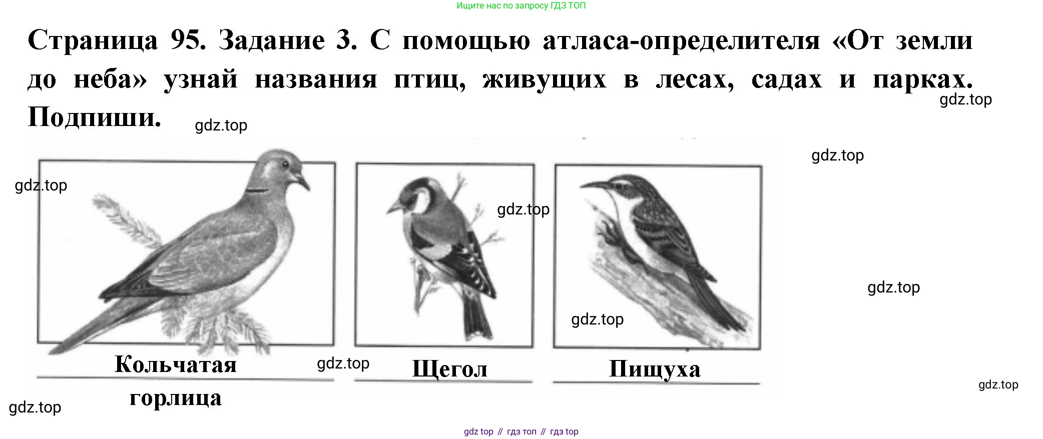 ГДЗ Окружающий мир, 4 класс Проверочные работы, авторы: Плешаков Андрей Анатольевич, Крючкова Елена Алексеевна, Плешаков С А, издательство Просвещение, Москва, 2023, белого цвета, страница 95, номер 3, Решение